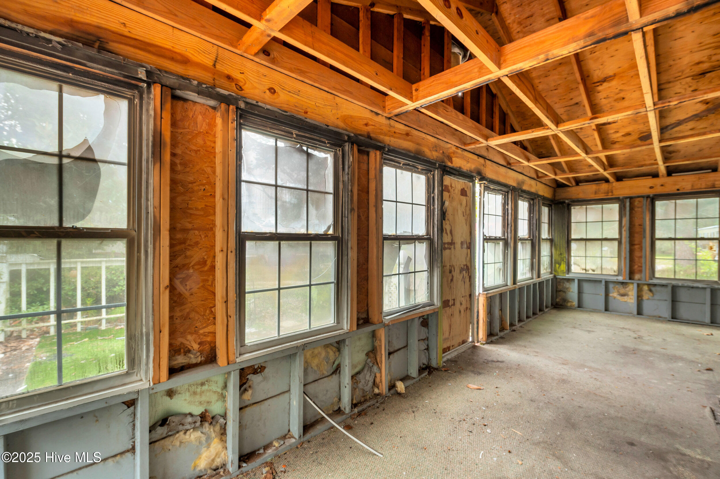 100530878 | Photo 10