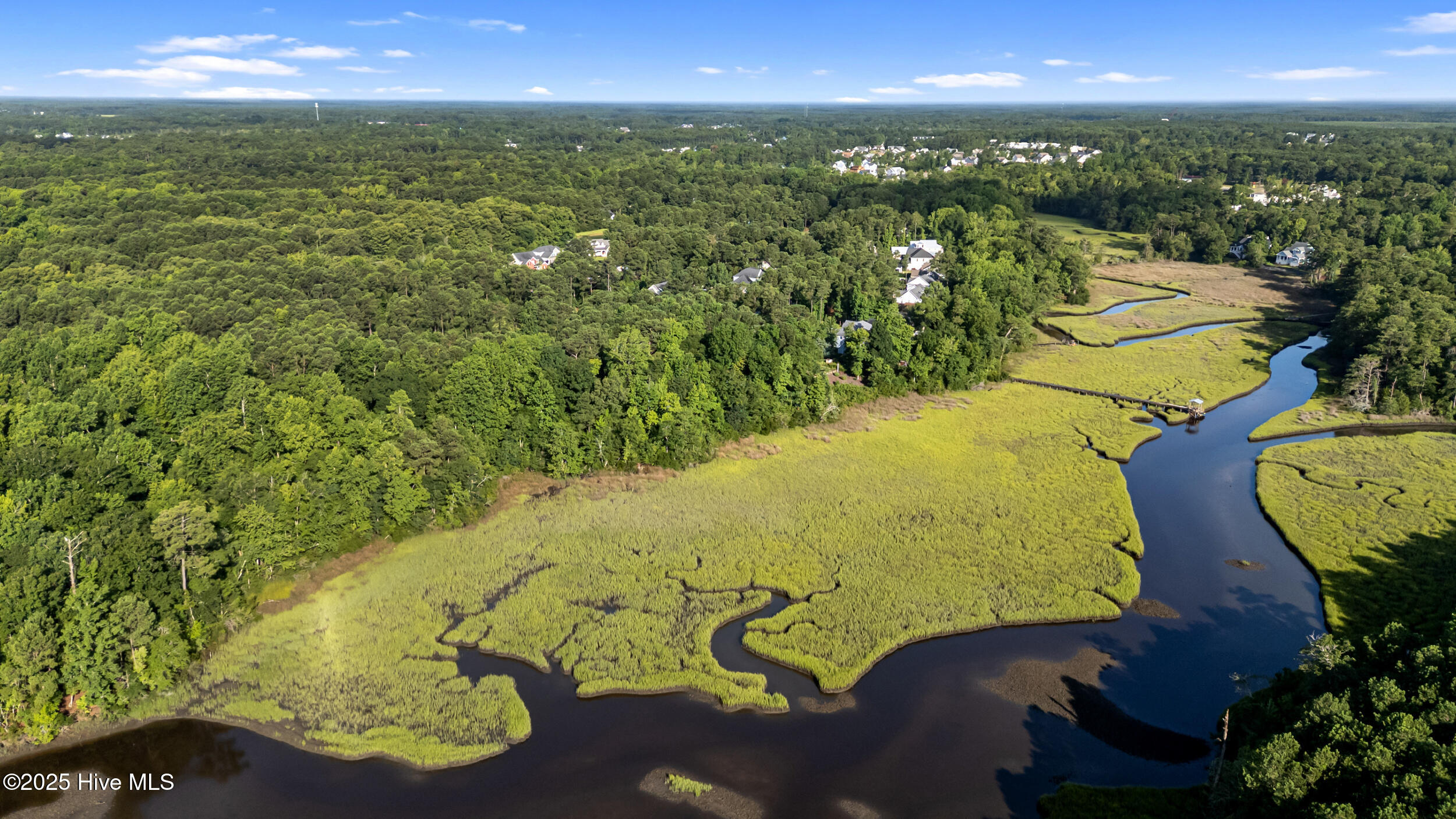 100518593 | Photo 79