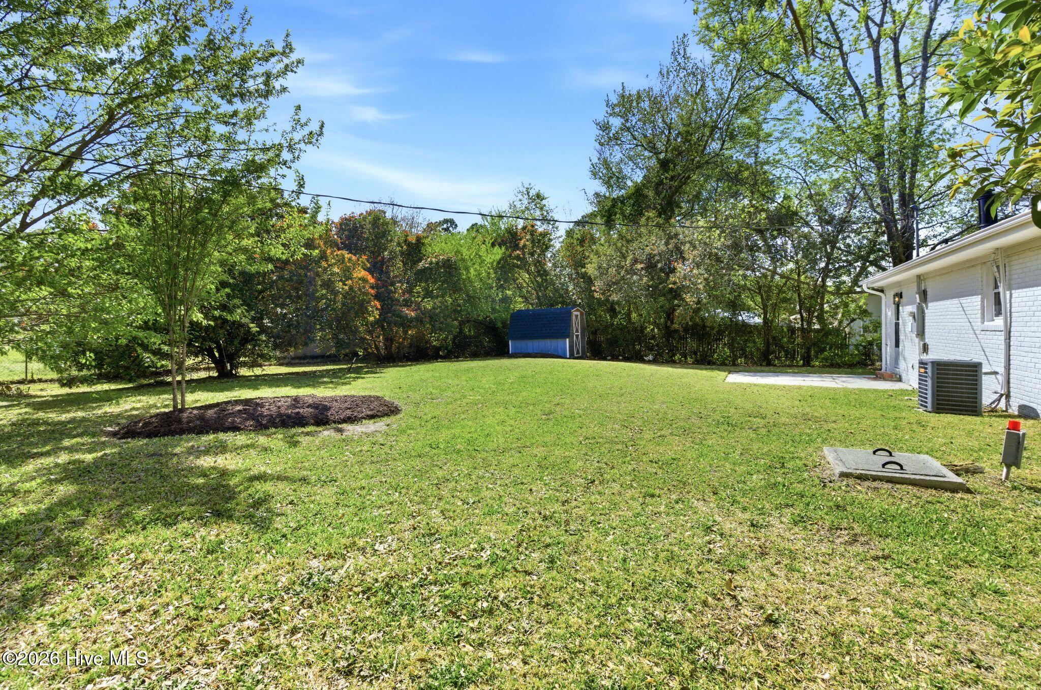 100564209 | Photo 34