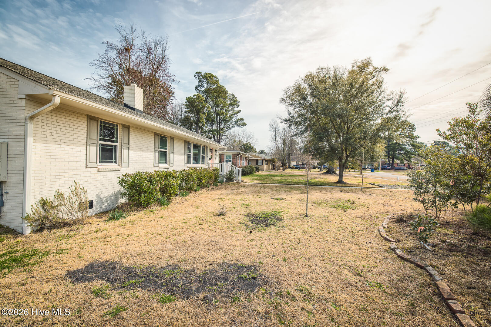 100556956 | Photo 82