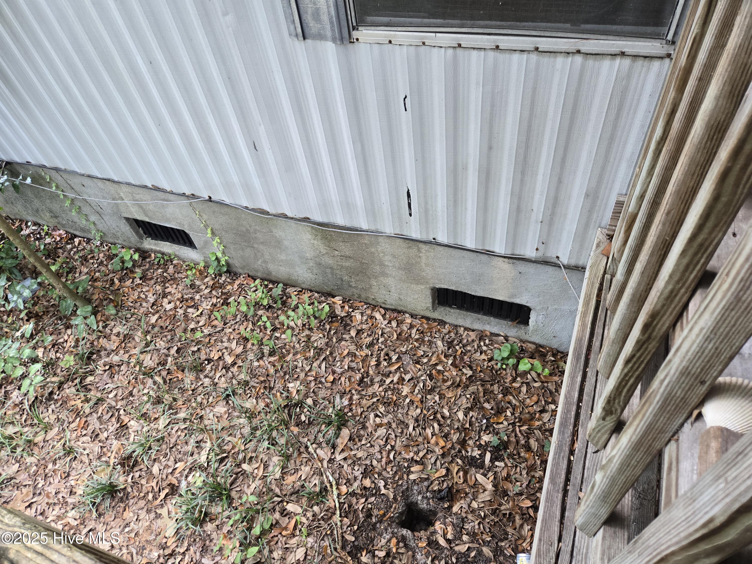 100531418 | Photo 52