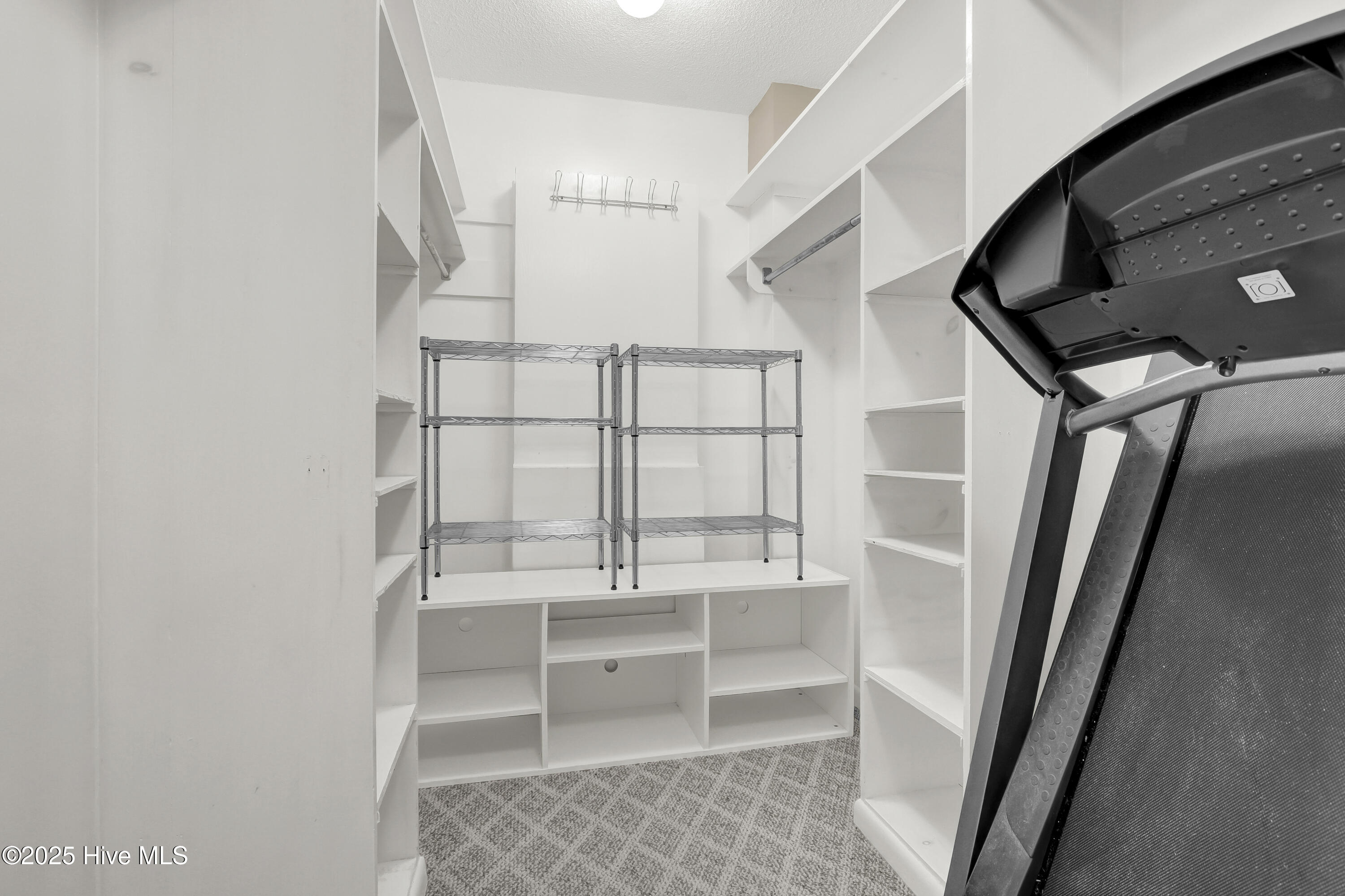 100562583 | Photo 18