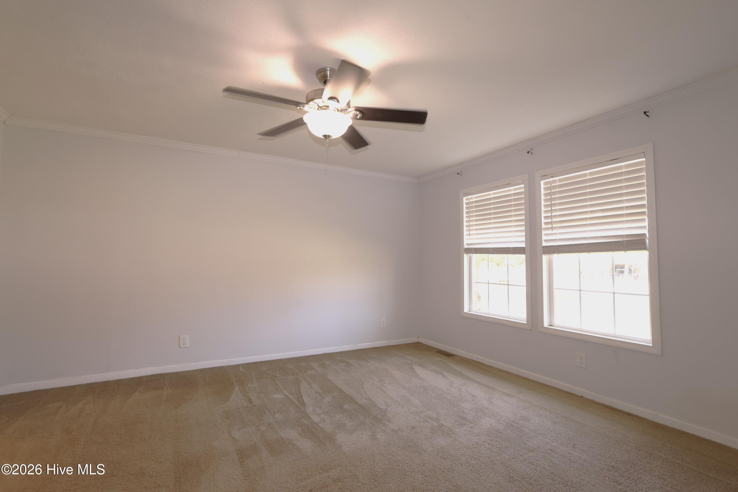 100564775 | Photo 11