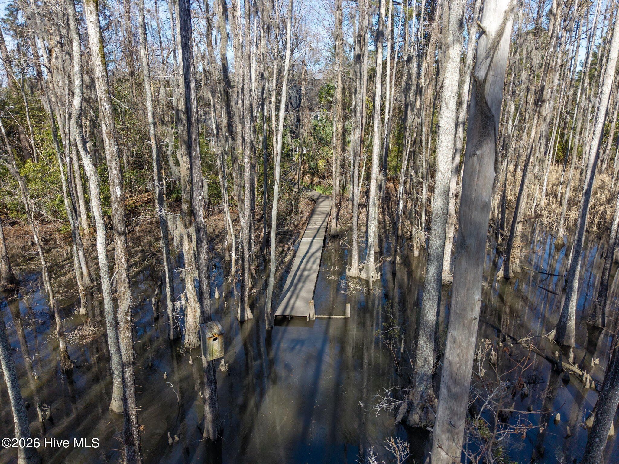 100550743 | Photo 23