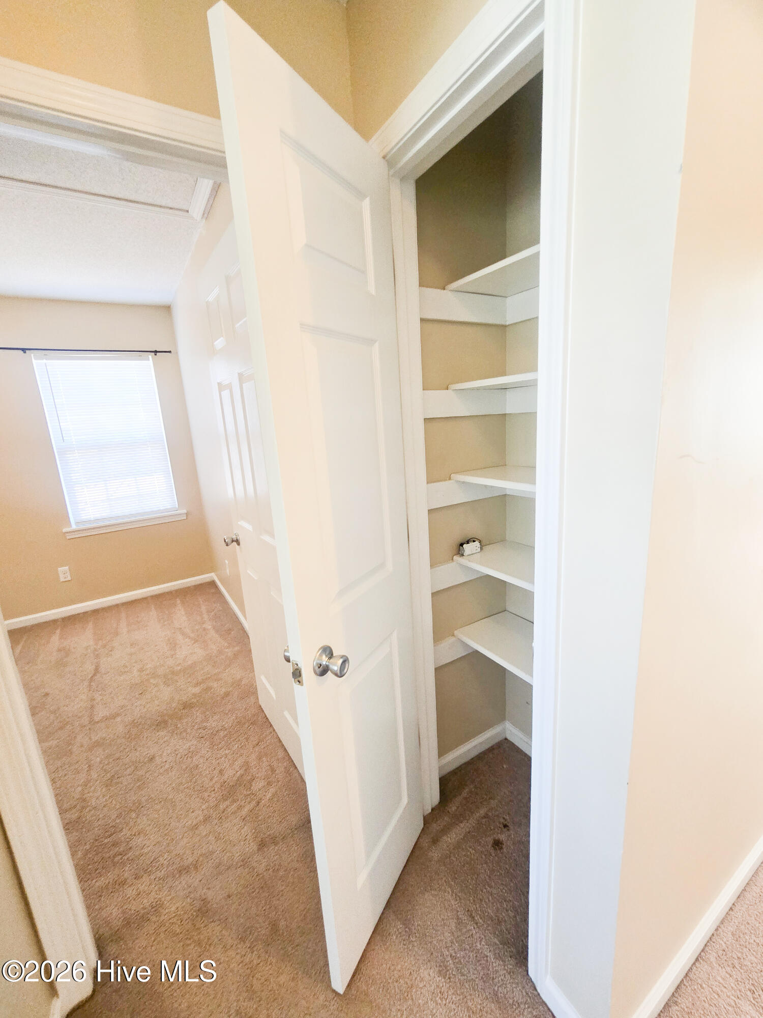 100550470 | Photo 19