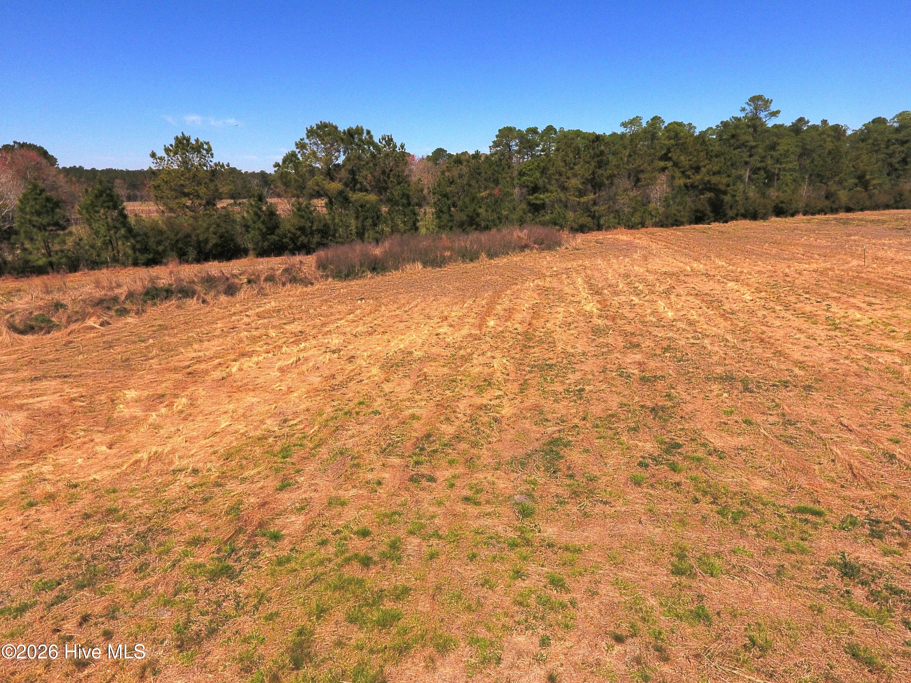 Shirley Johnson - MLS Number: 100562782