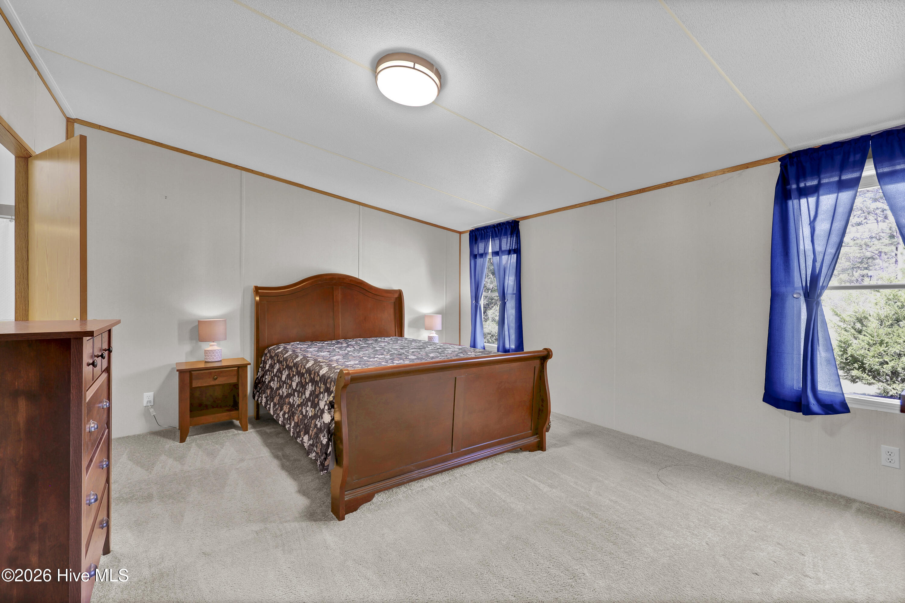 100564318 | Photo 16