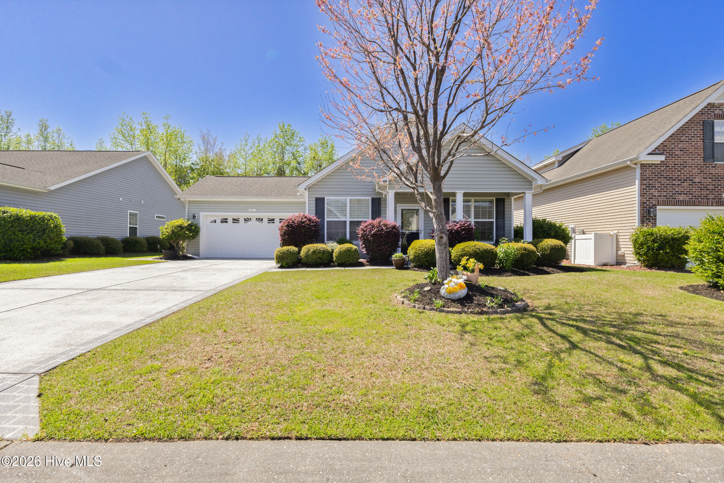 100565406 | Photo 51