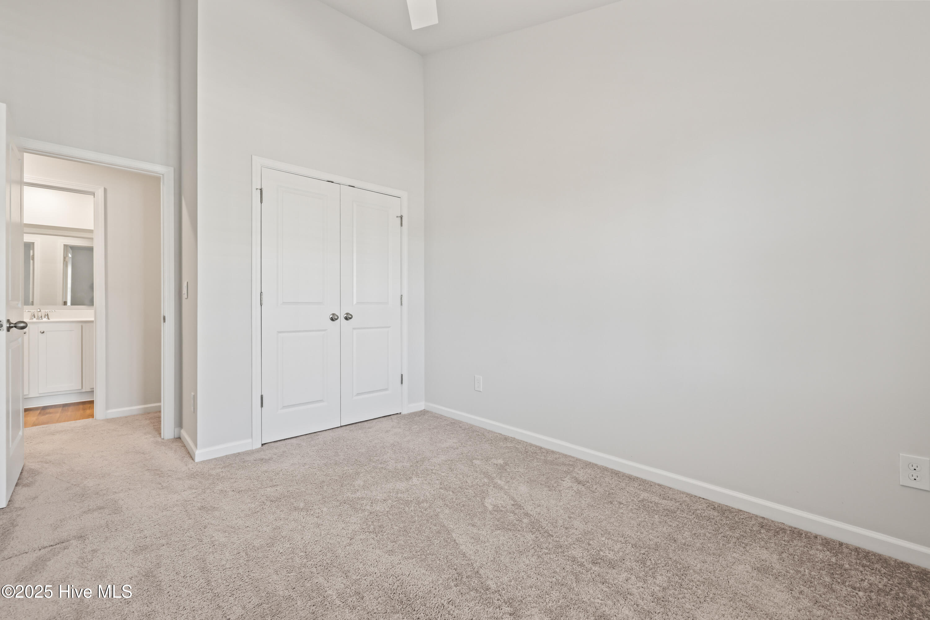 100546543 | Photo 29