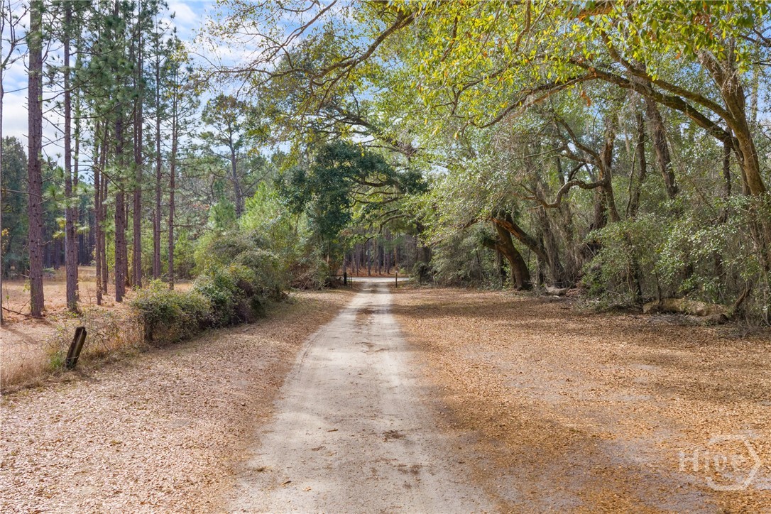 1000 Old River Road S, Brooklet, GA, 30415