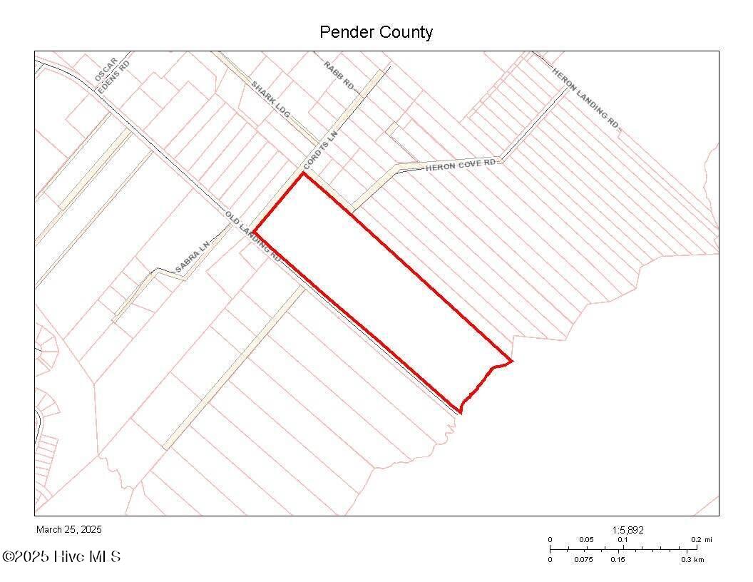 100496968 | Photo 14