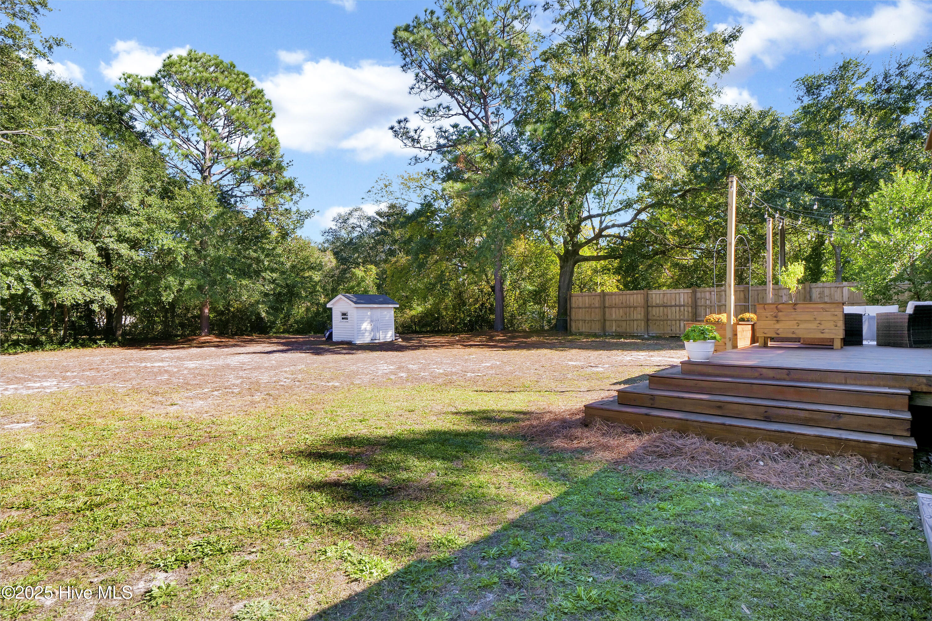 100537526 | Photo 25