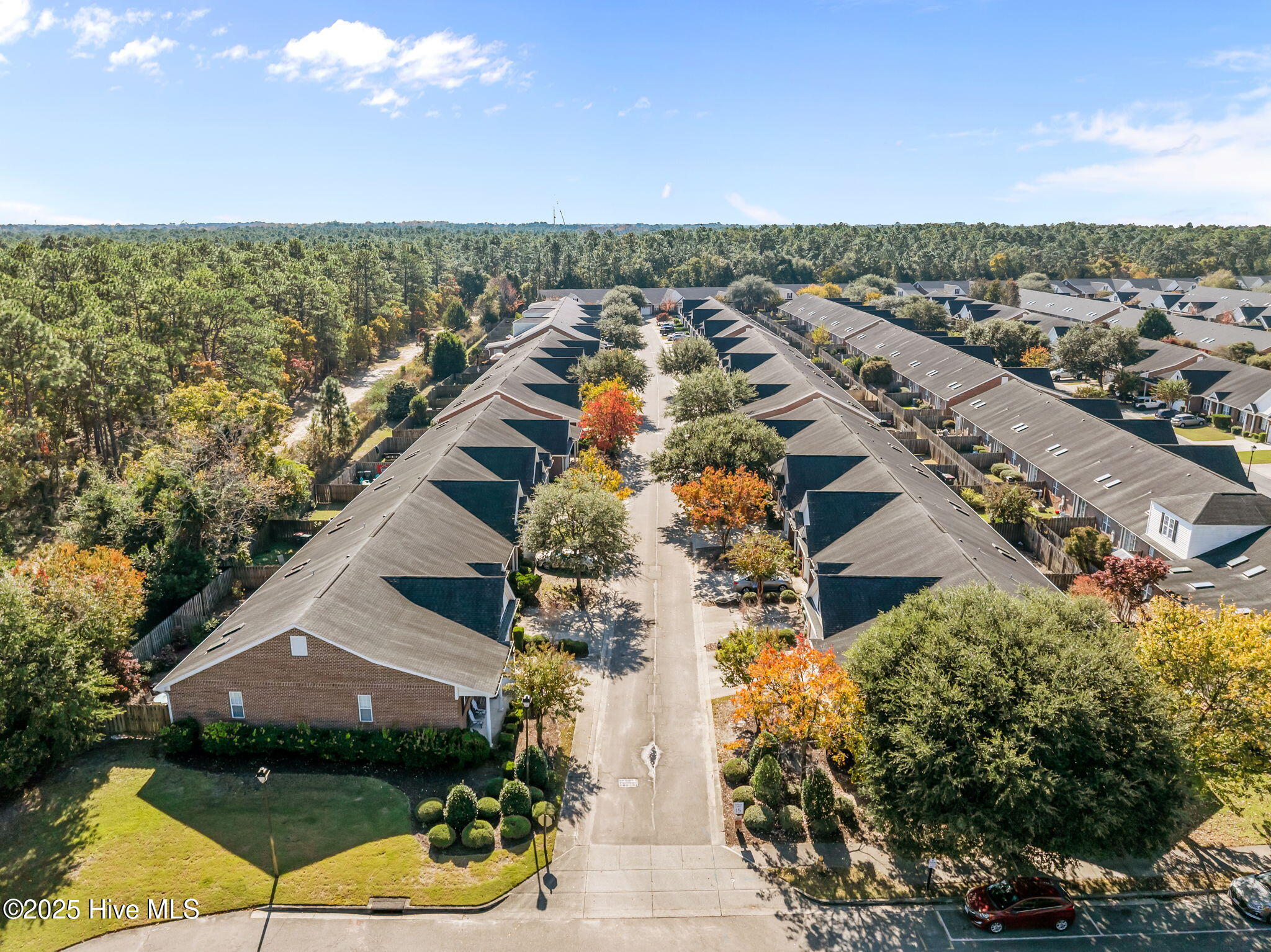 100540244 | Photo 53