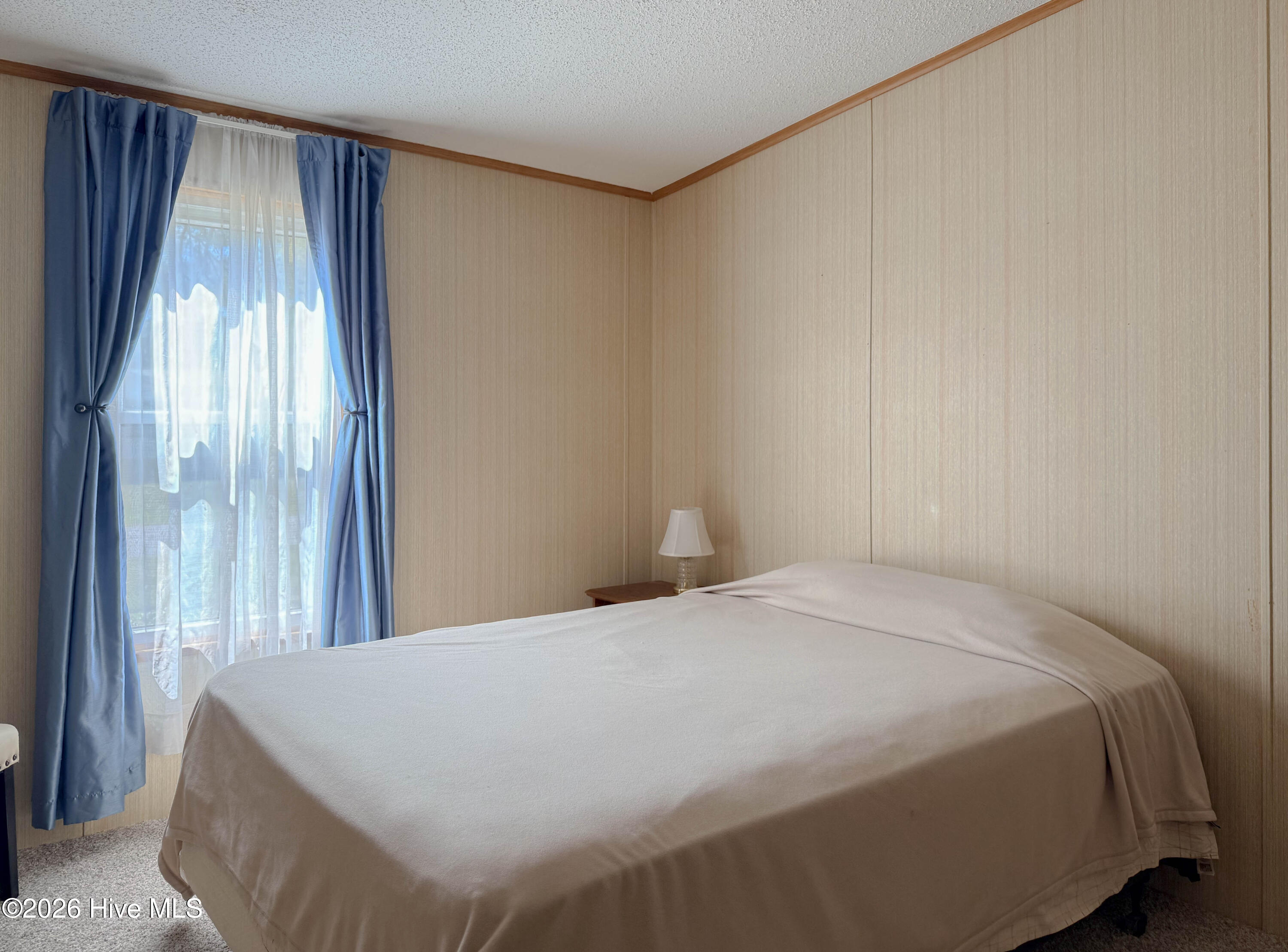 100563984 | Photo 42