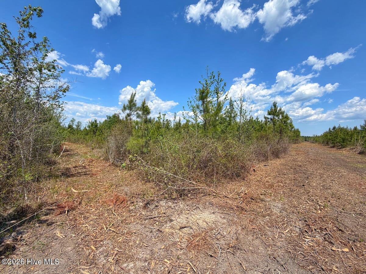 0 Guinea Mill Road, Ernul, NC, 28527