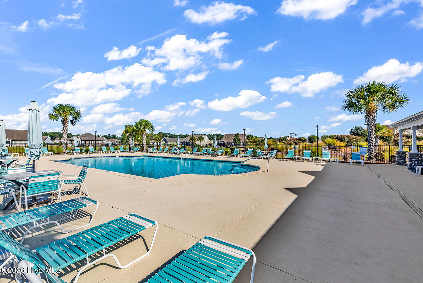 100554888 | Photo 21