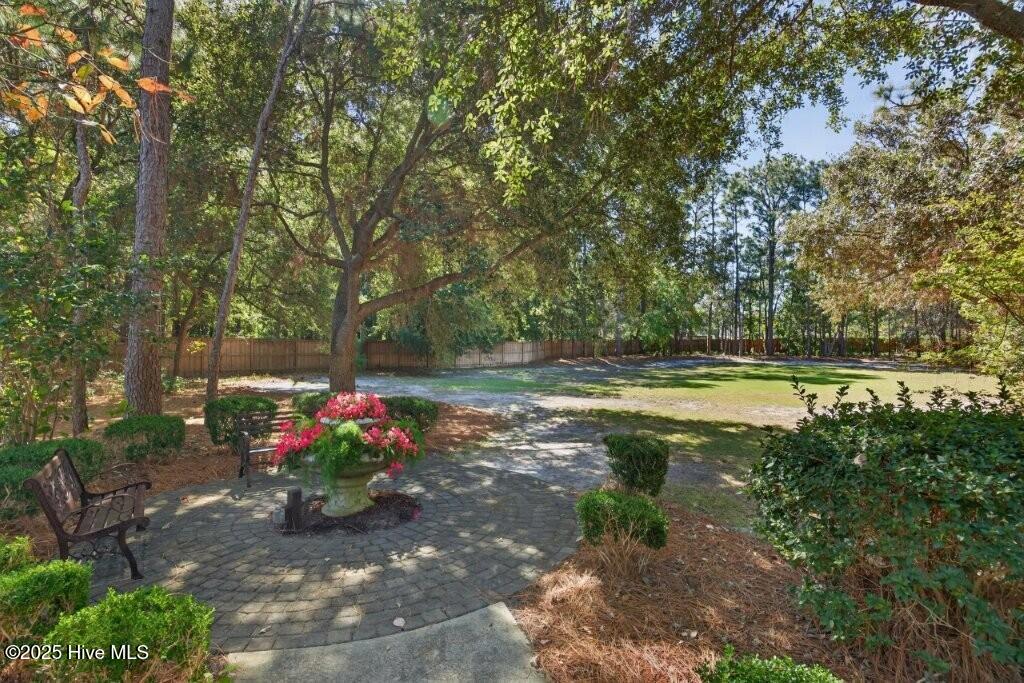 100535369 | Photo 51