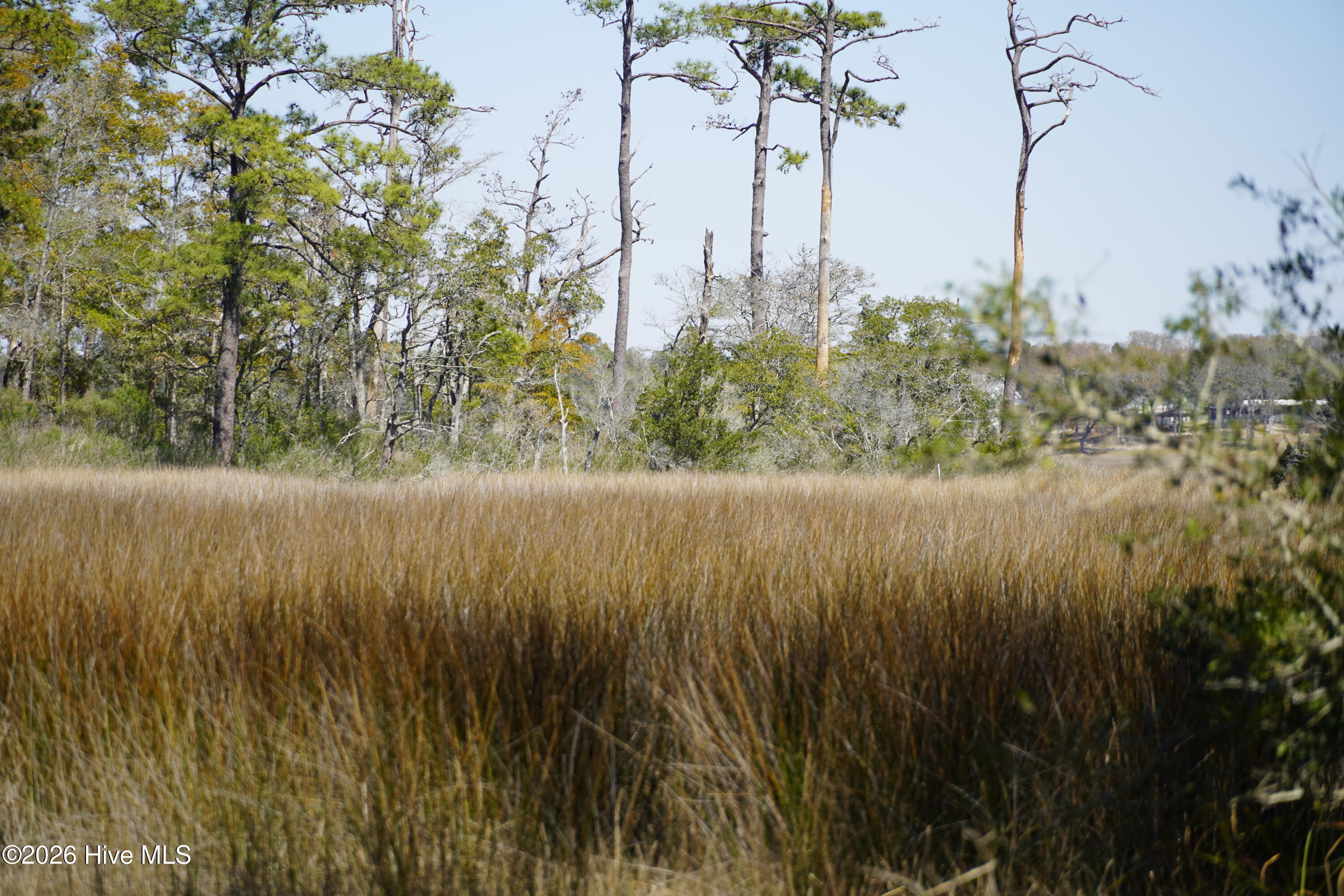 100564752 | Photo 12