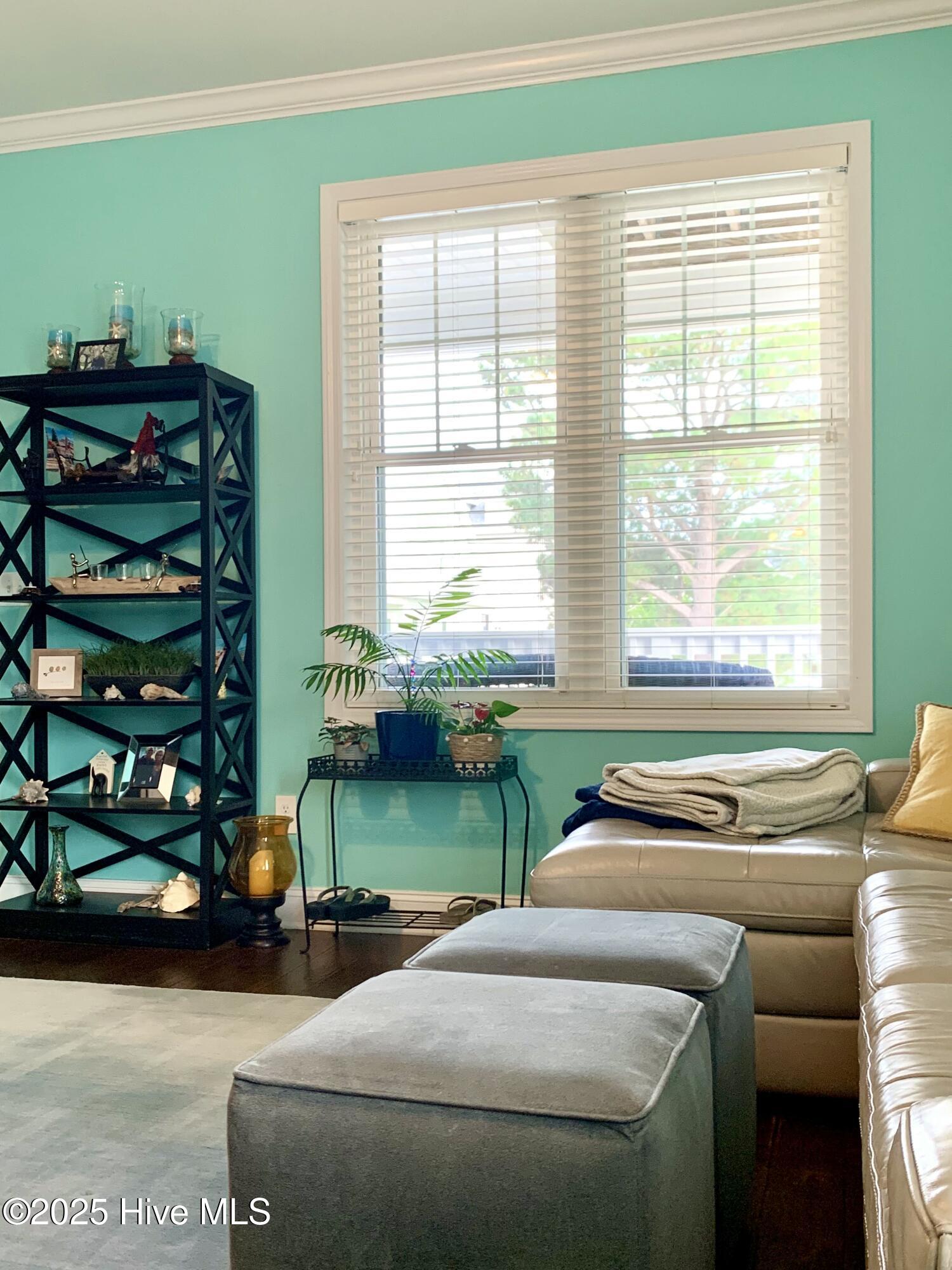 100536015 | Photo 16