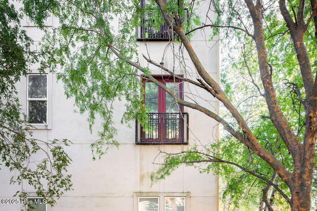 100523571 | Photo 12