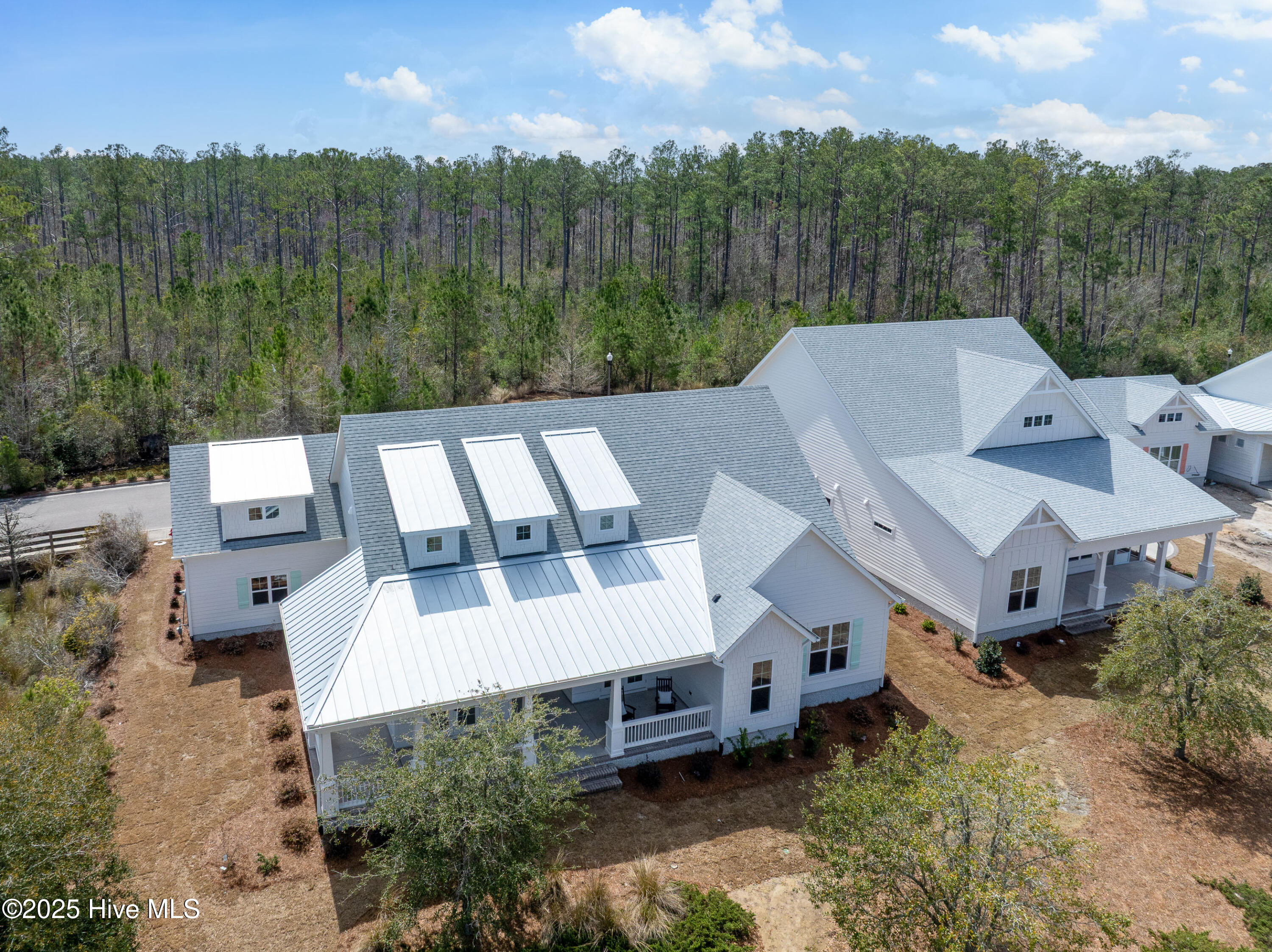 851 Meadowsweet Ln-The Staley MLS-2