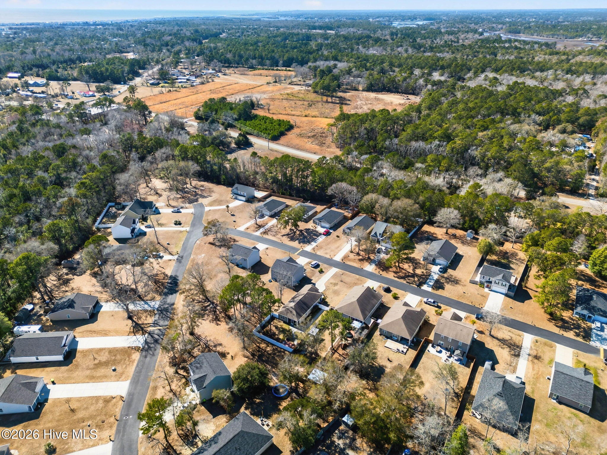 100555390 | Photo 34