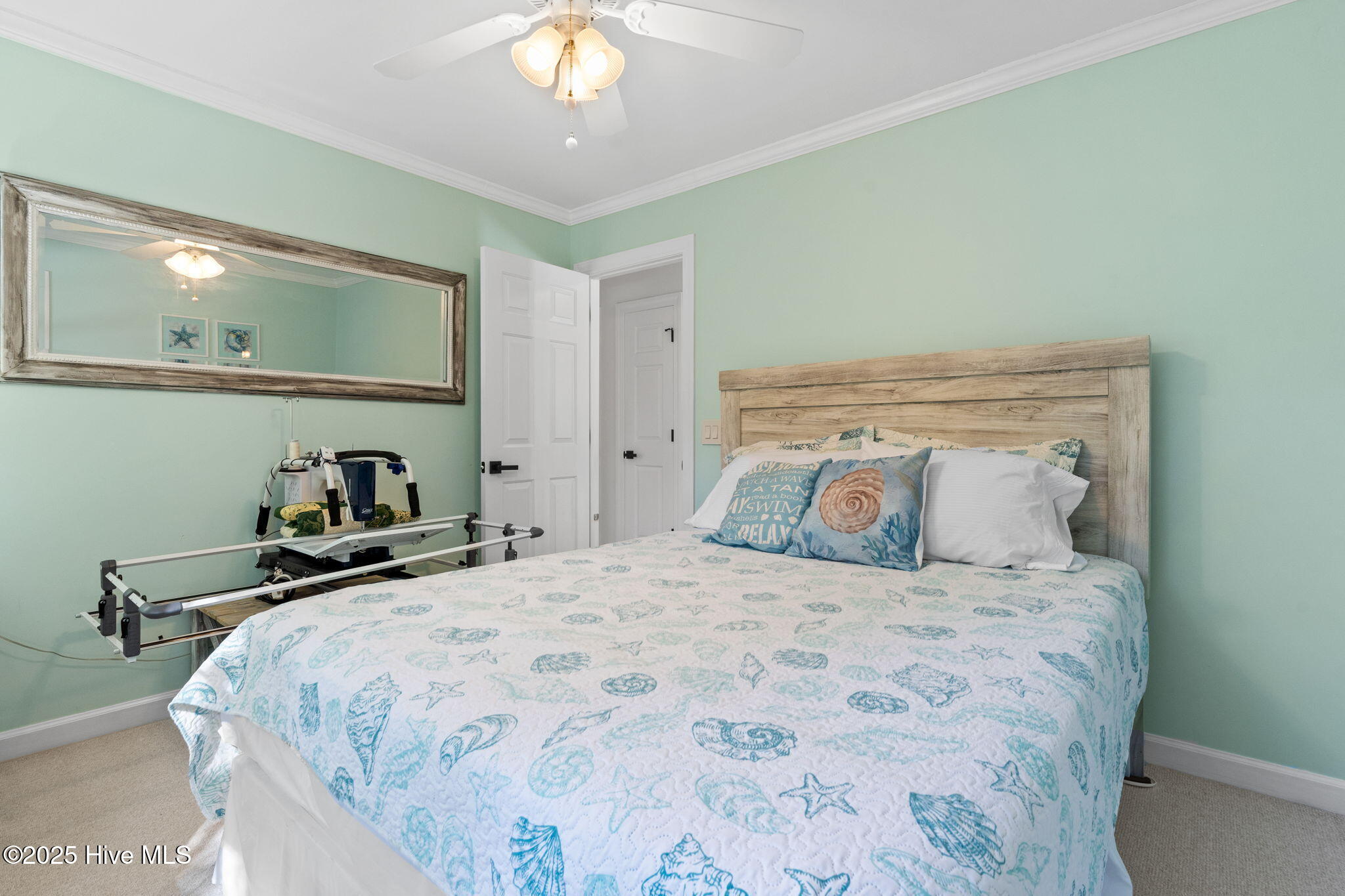 100537506 | Photo 42