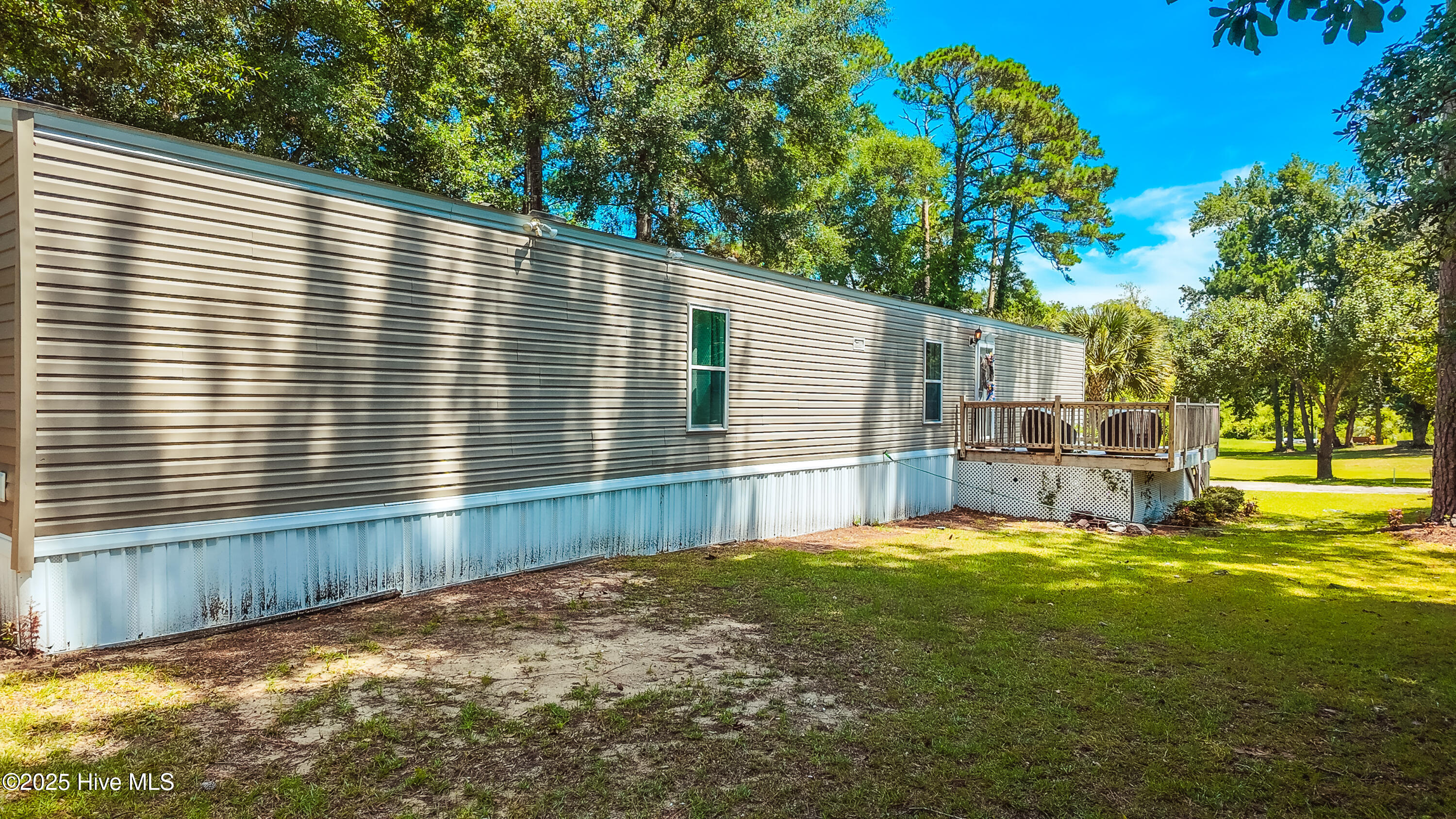 100517636 | Photo 35