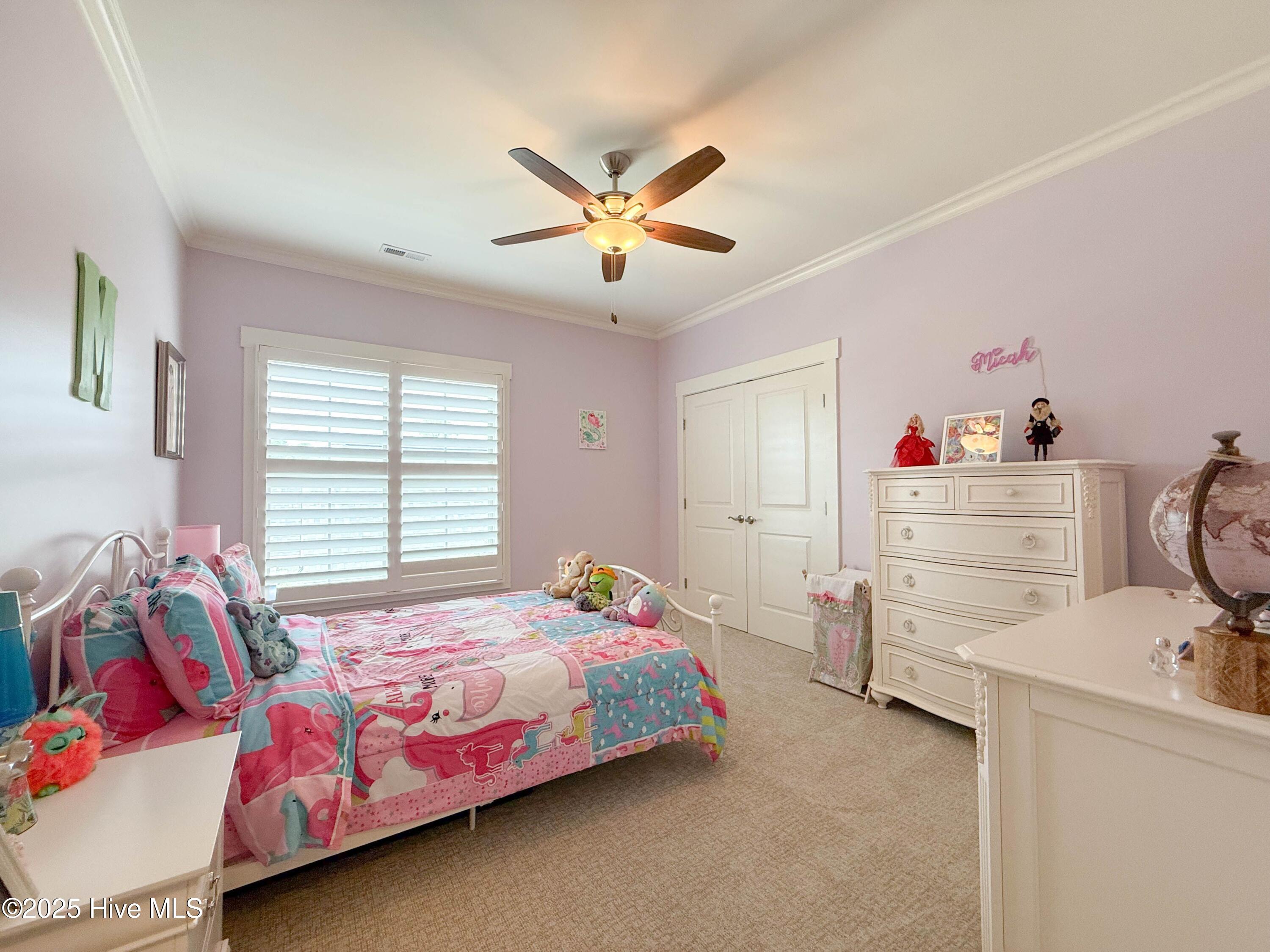 100534073 | Photo 56