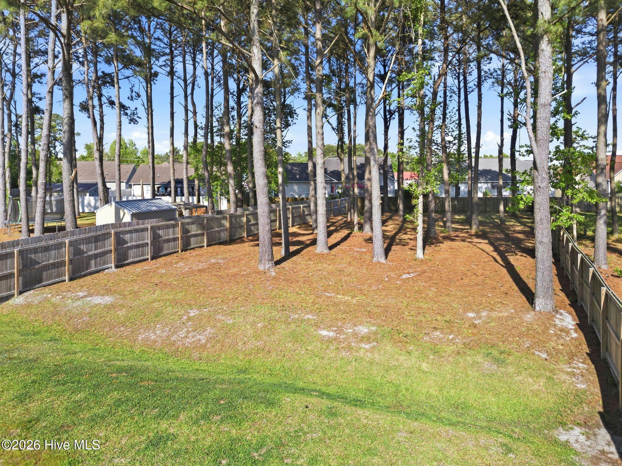 100570227 | Photo 52