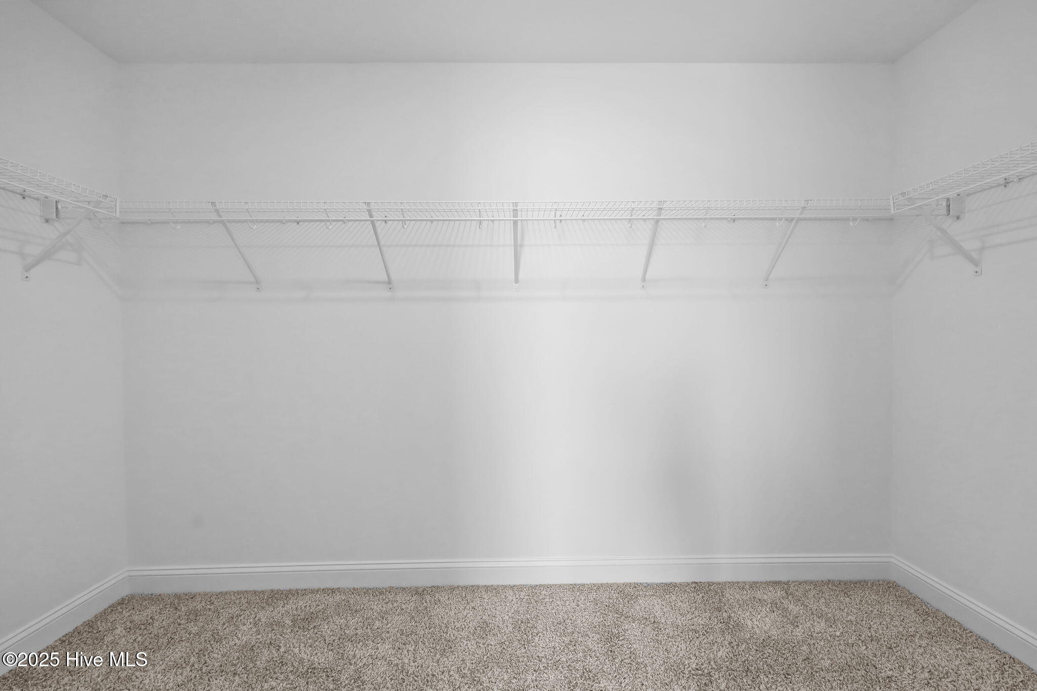 100519667 | Photo 15