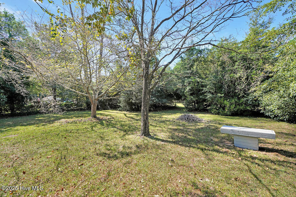 100532776 | Photo 32