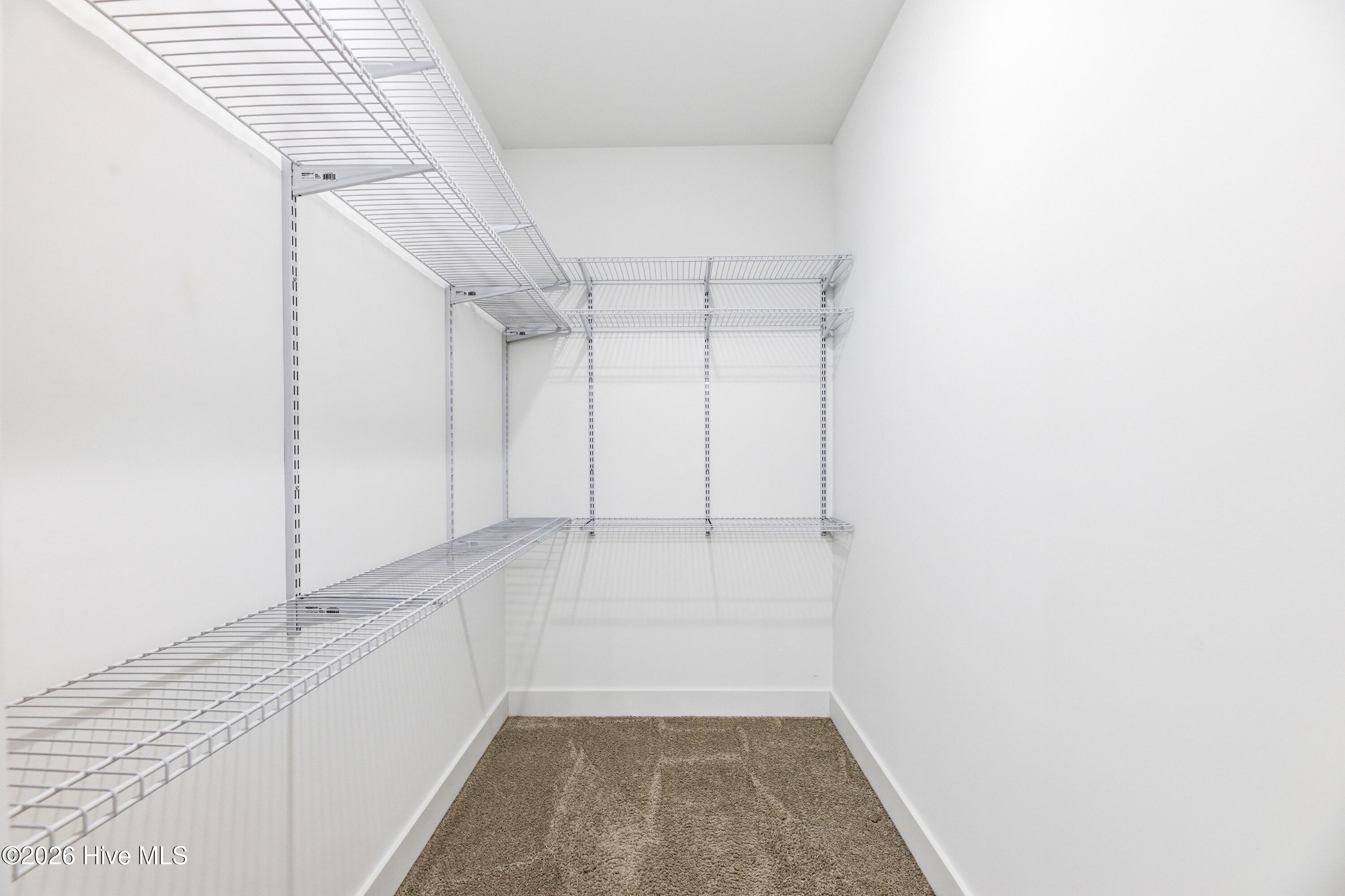 100561683 | Photo 29