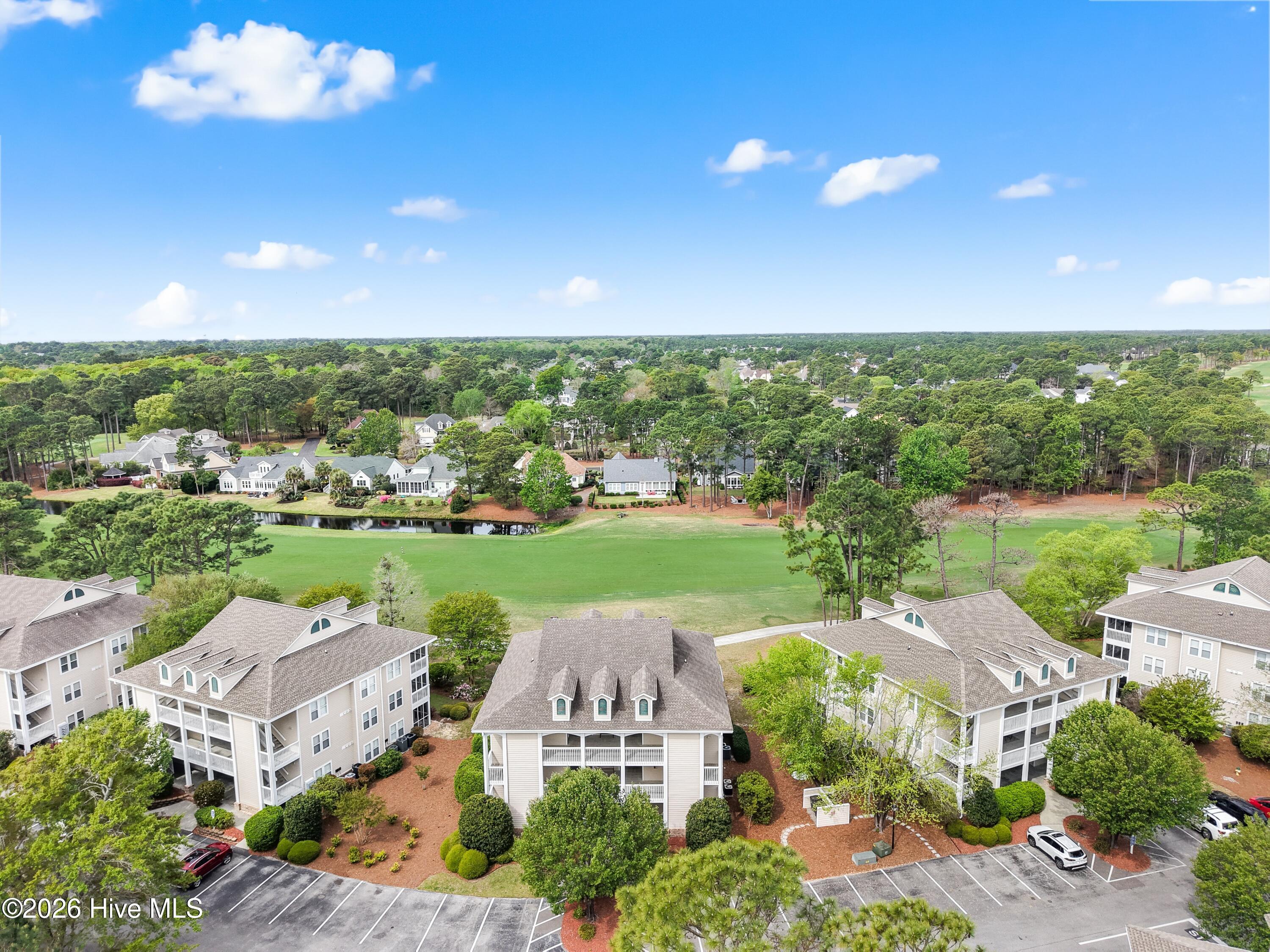 100565554 | Photo 34