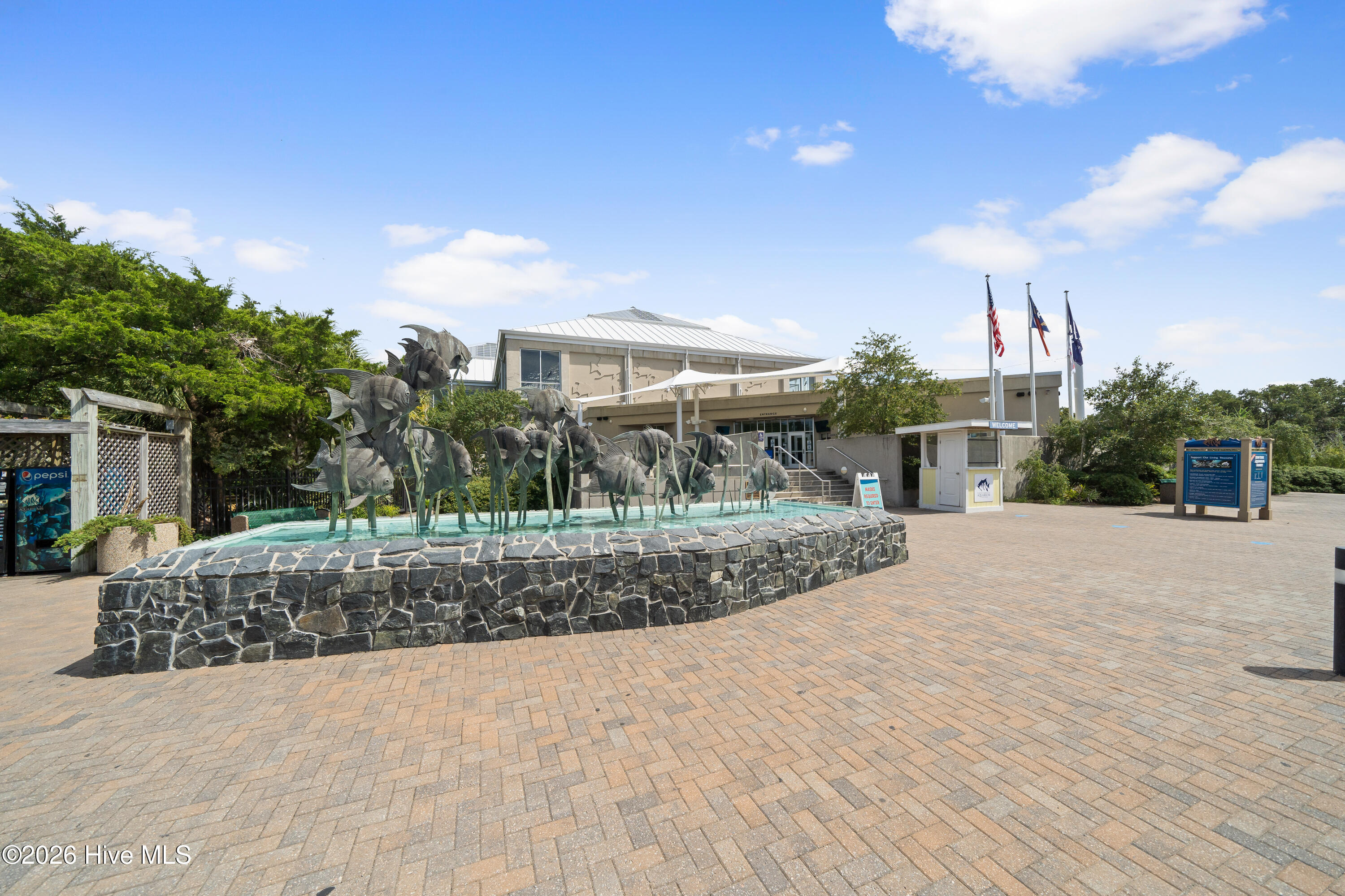 100550071 | Photo 57