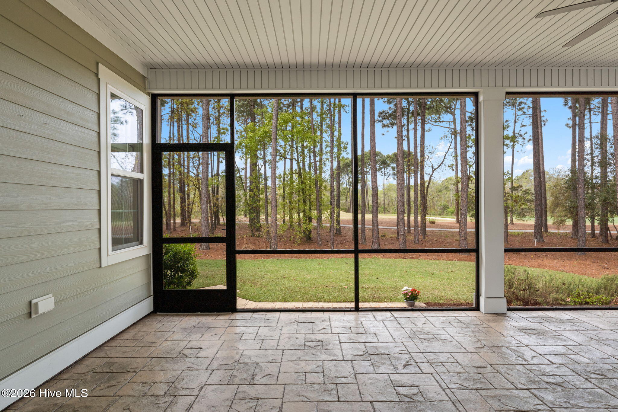 100566605 | Photo 43