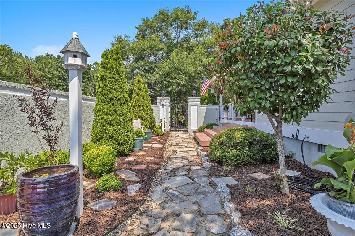 100556221 | Photo 41