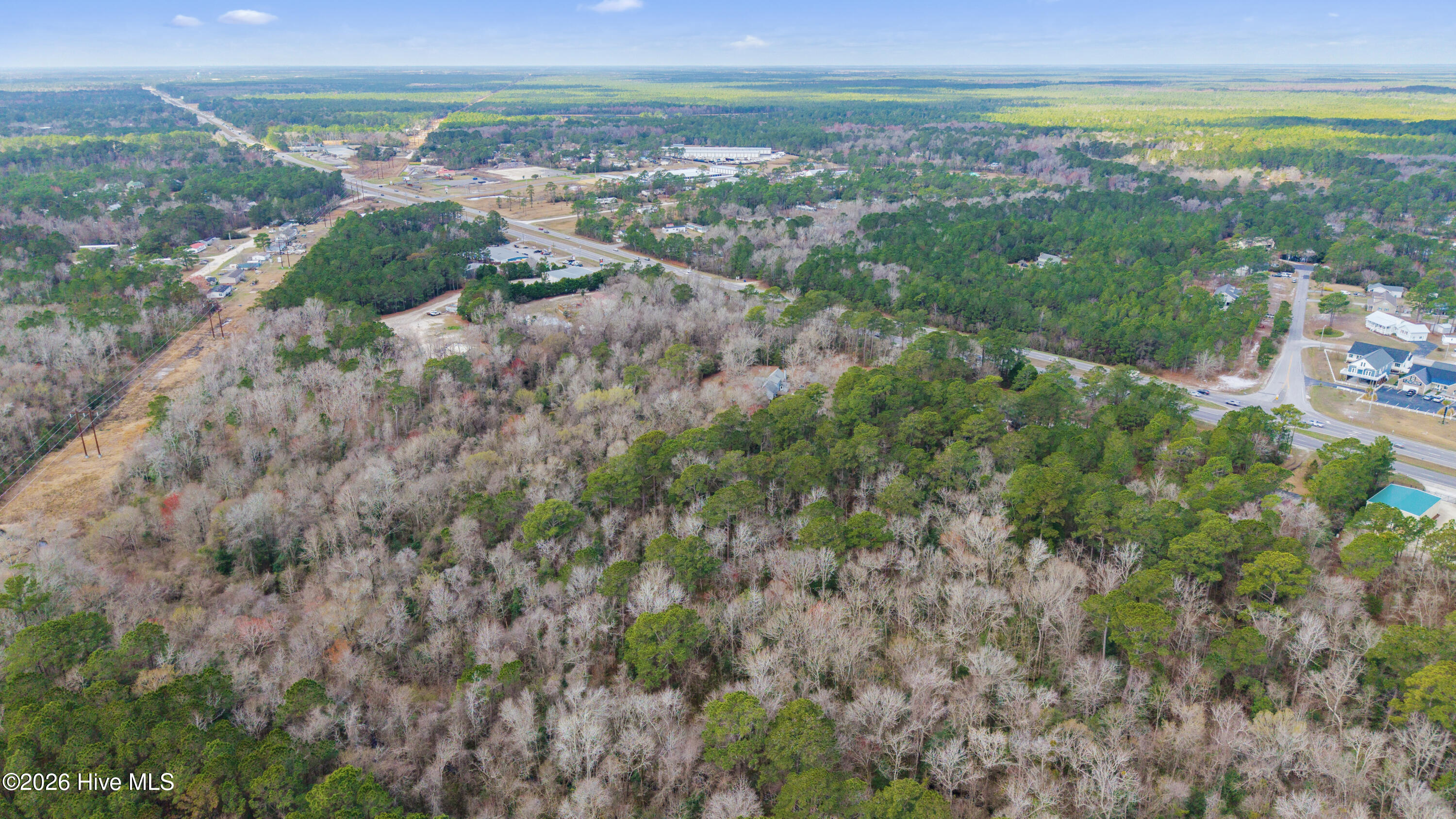 100557904 | Photo 11