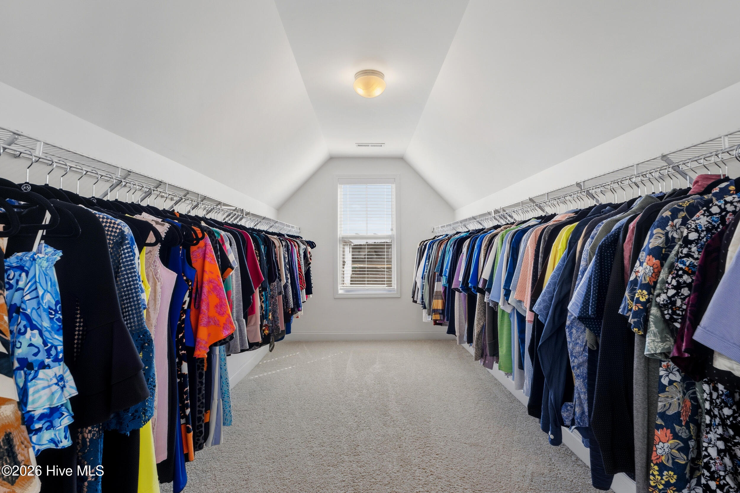 100558195 | Photo 35