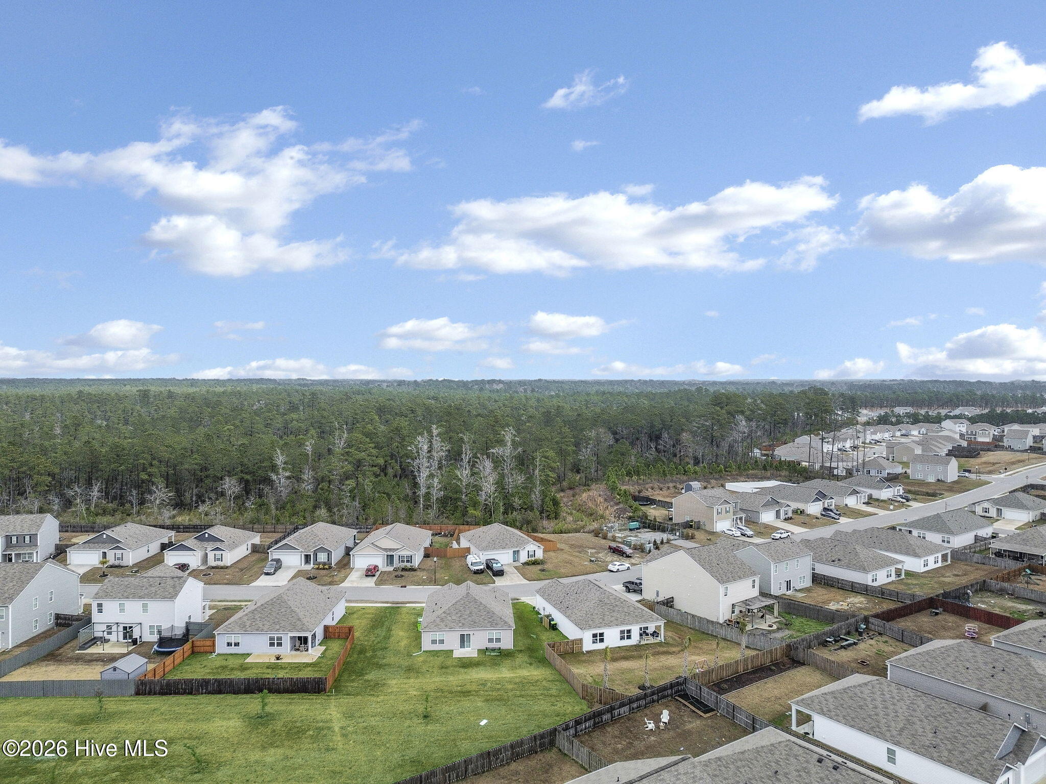 100564781 | Photo 32