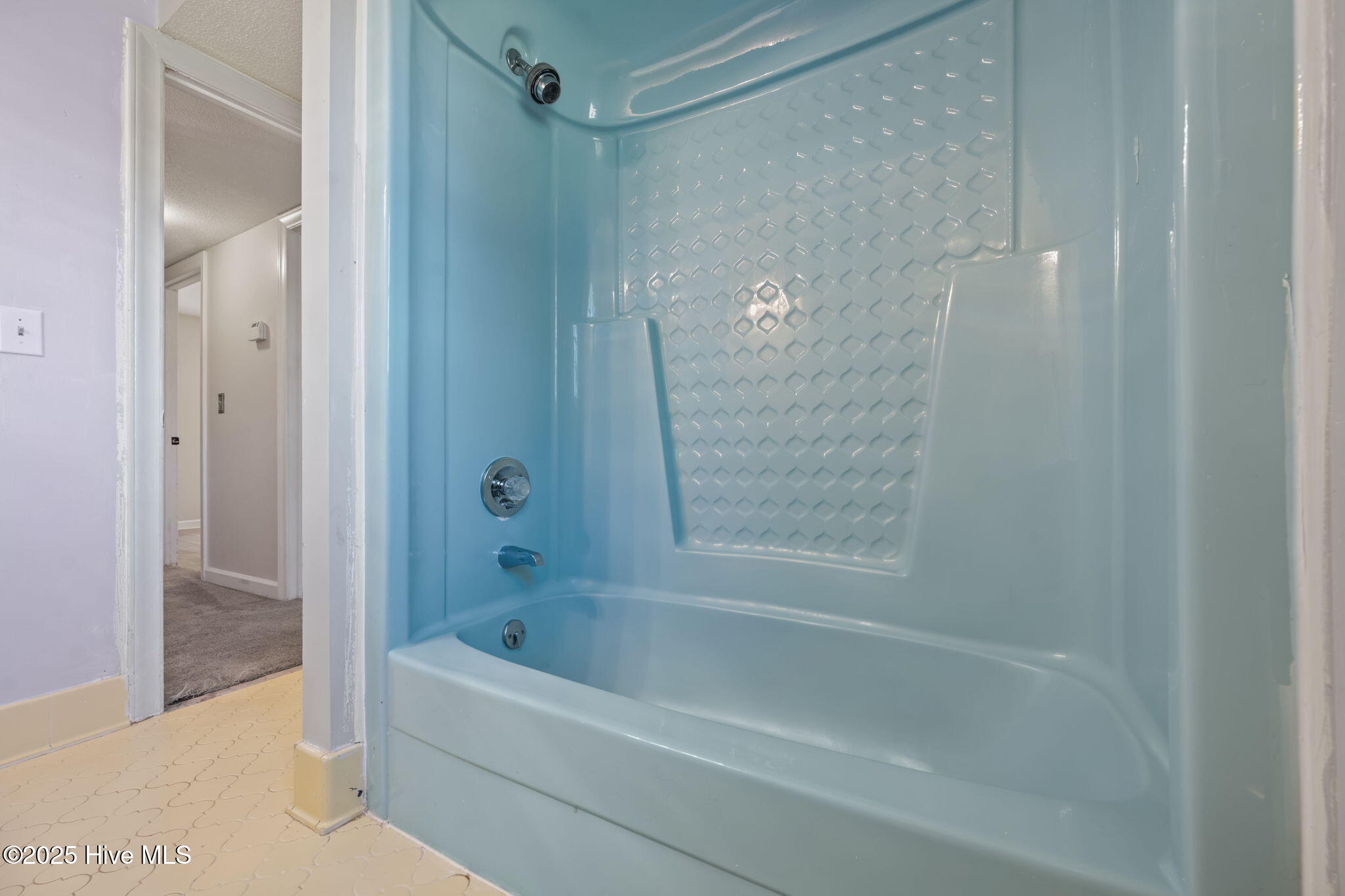 100537375 | Photo 25