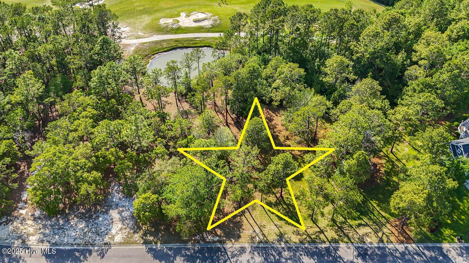 100506027 | Photo 12