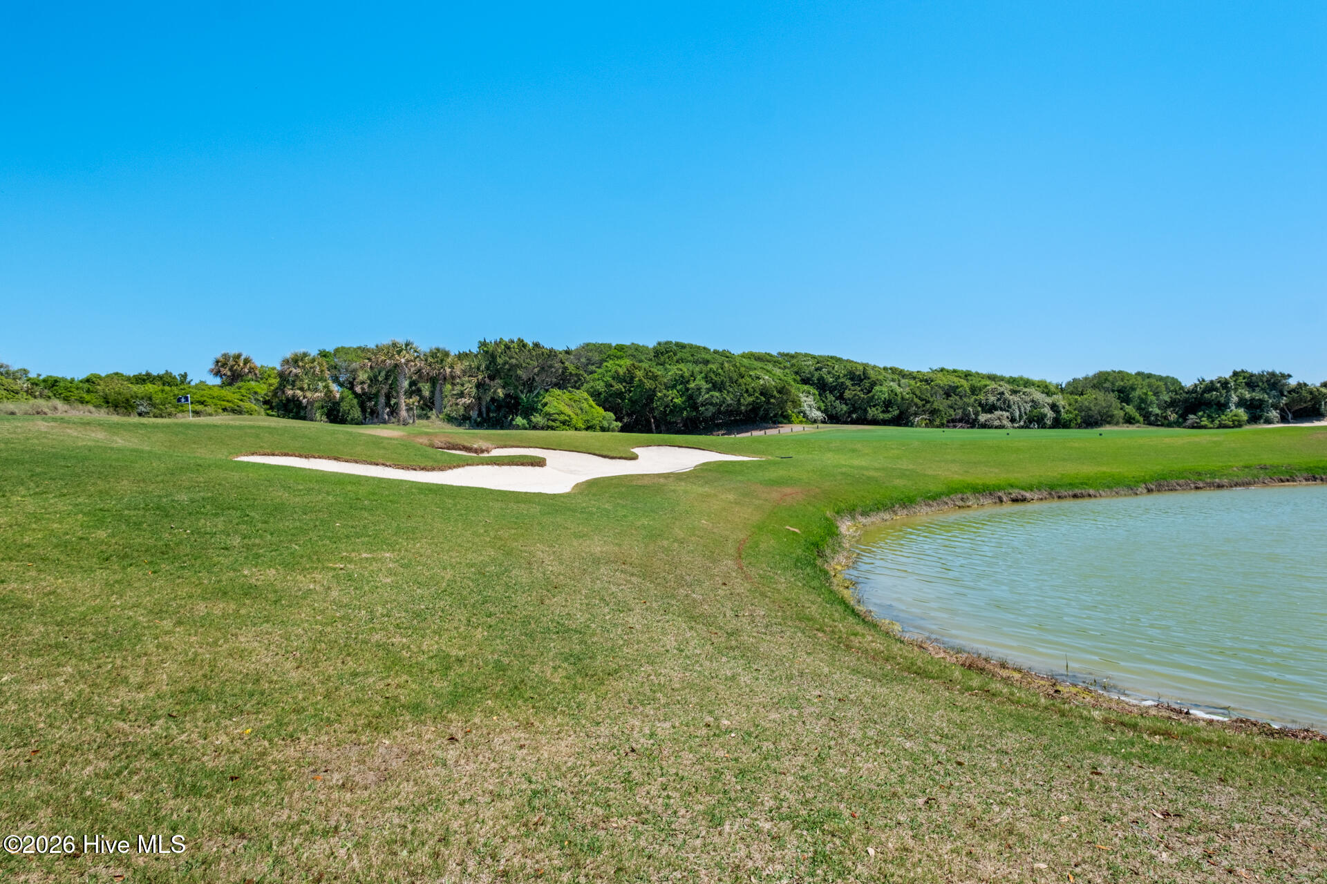 100569244 | Photo 45