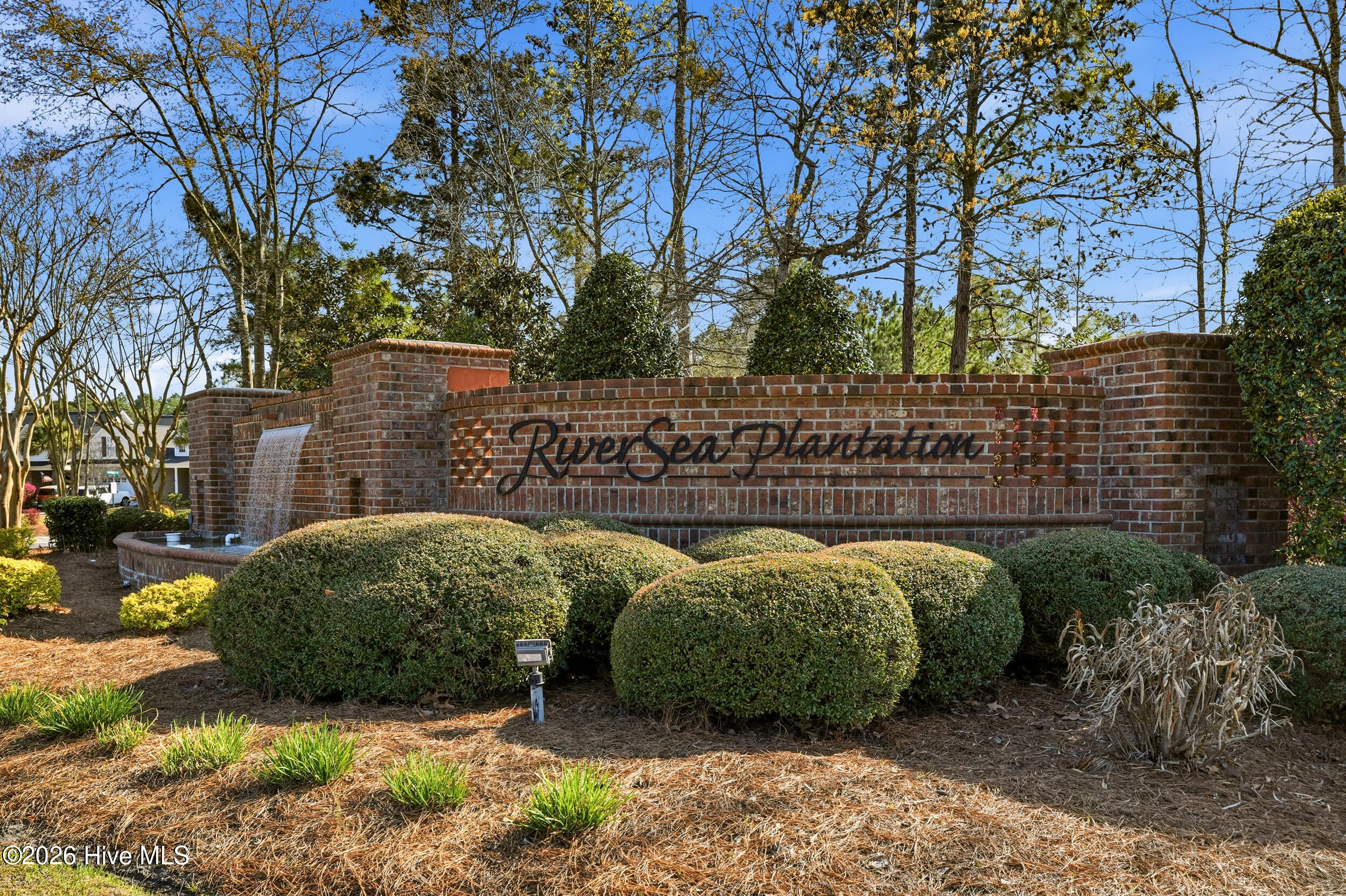 100563980 | Photo 78