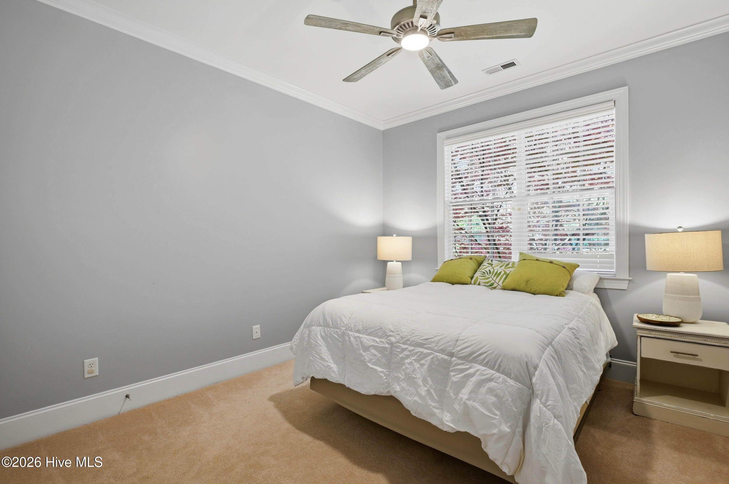 100566106 | Photo 33