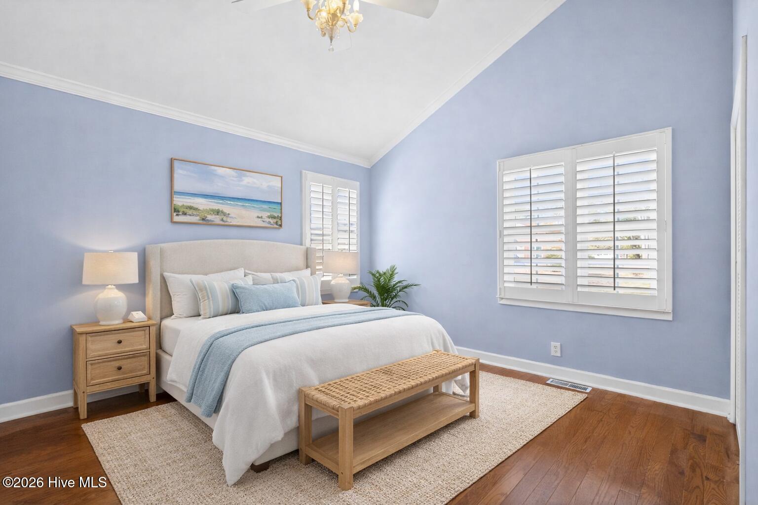 100558194 | Photo 23