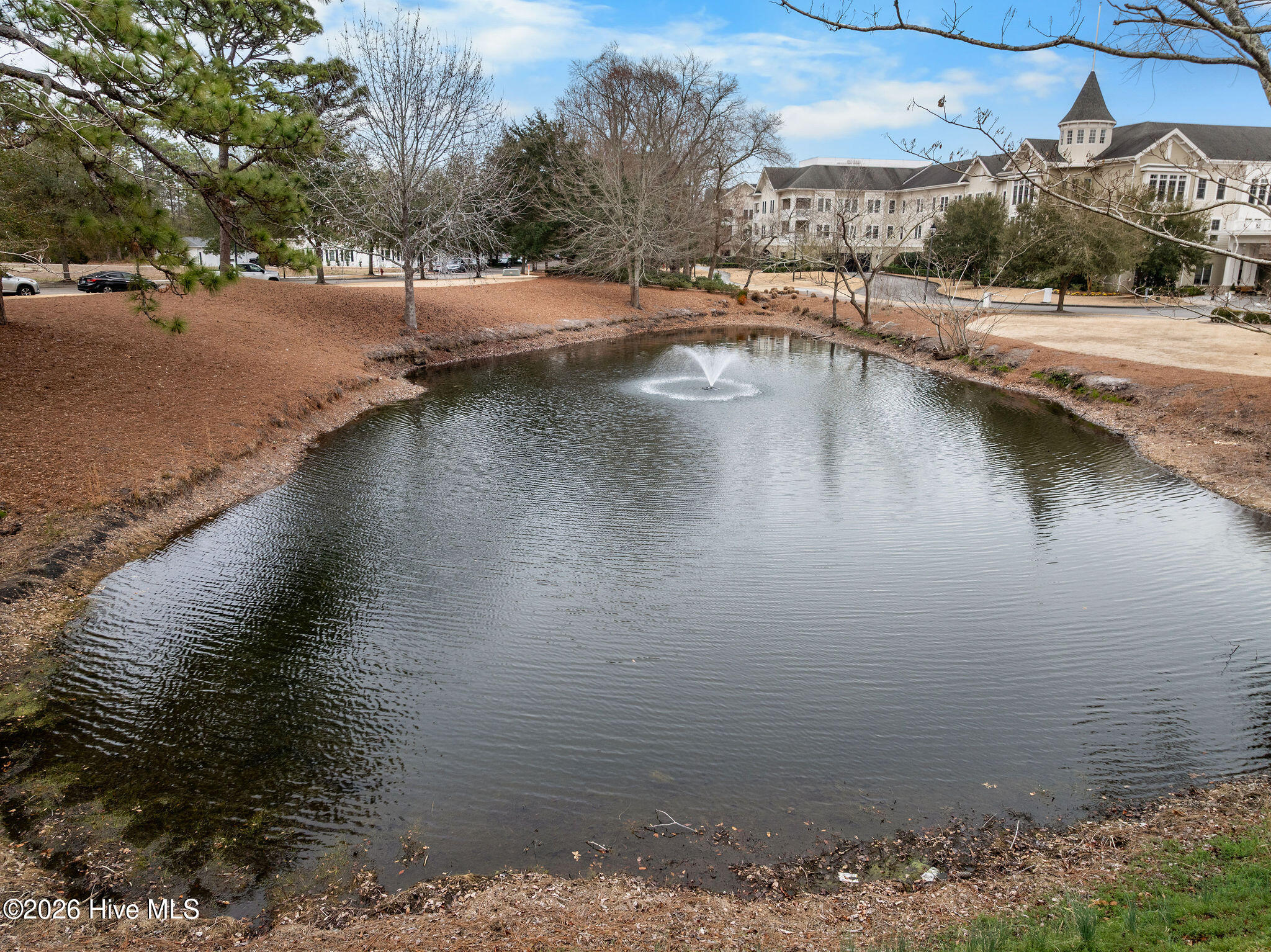 100553604 | Photo 90