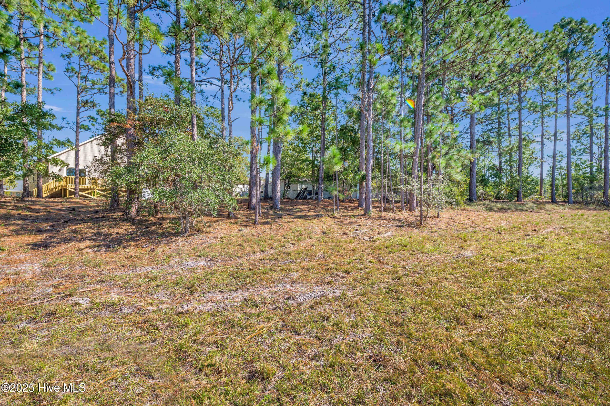 100537986 | Photo 43