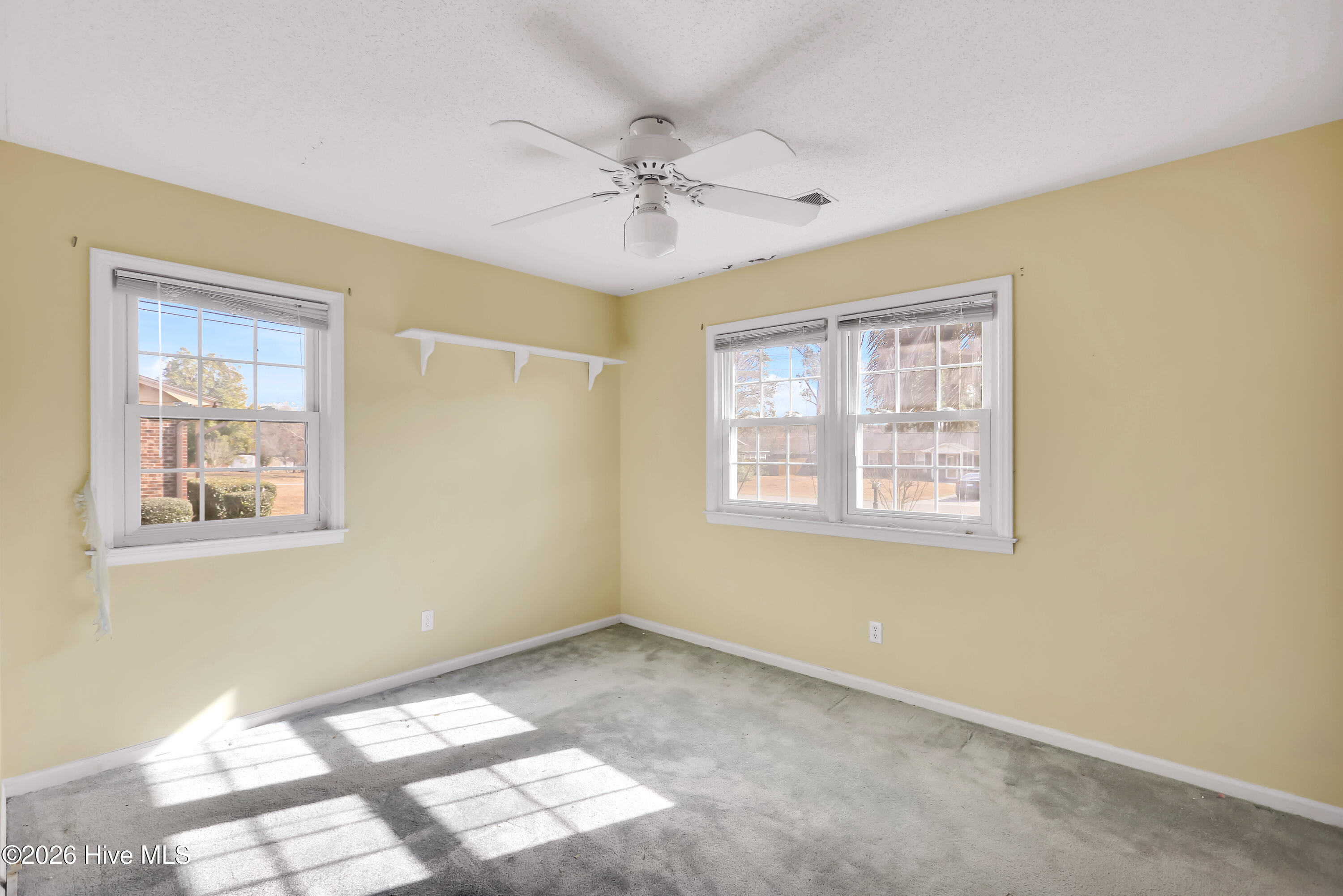 100551362 | Photo 14