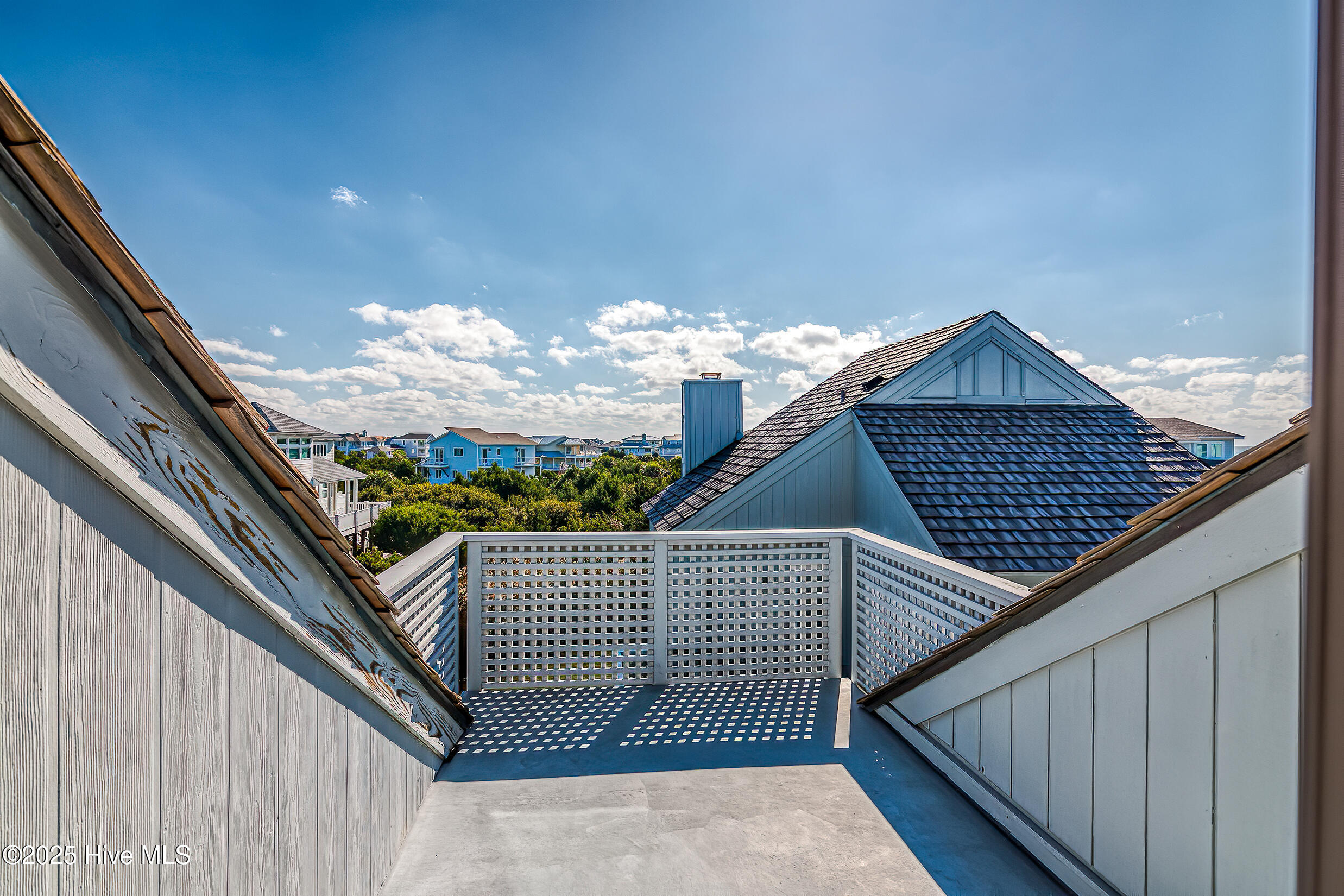 100526215 | Photo 42